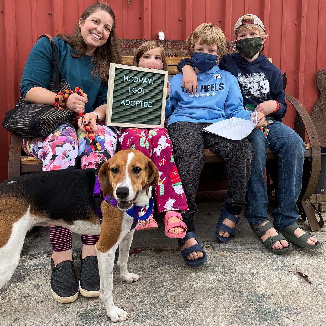 Congratulations to ‘Goose’ and her sweet family! 💕💕💕 <a target='_blank' href='https://www.instagram.com/explore/tags/adopt/'>#adopt</a> <a target='_blank' href='https://www.instagram.com/explore/tags/dogs/'>#dogs</a> <a target='_blank' href='https://www.instagram.com/explore/tags/family/'>#family</a> <a target='_blank' href='https://www.instagram.com/explore/tags/joy/'>#joy</a> <a target='_blank' href='https://www.instagram.com/explore/tags/love/'>#love</a> <a target='_blank' href='https://www.instagram.com/explore/tags/companion/'>#companion</a> <a target='_blank' href='https://www.instagram.com/explore/tags/fun/'>#fun</a> <a target='_blank' href='https://www.instagram.com/explore/tags/dogsofinstagram/'>#dogsofinstagram</a> <a target='_blank' href='https://www.instagram.com/explore/tags/thankyou/'>#thankyou</a> <a target='_blank' href='https://www.instagram.com/explore/tags/rescuedogsofinstagram/'>#rescuedogsofinstagram</a> <a target='_blank' href='https://www.instagram.com/explore/tags/community/'>#community</a> <a target='_blank' href='https://www.instagram.com/explore/tags/support/'>#support</a> <a target='_blank' href='https://www.instagram.com/explore/tags/instagood/'>#instagood</a> <a target='_blank' href='https://www.instagram.com/explore/tags/picoftheday/'>#picoftheday</a> <a target='_blank' href='https://www.instagram.com/explore/tags/goose/'>#goose</a> <a target='_blank' href='https://www.instagram.com/explore/tags/hound/'>#hound</a> <a target='_blank' href='https://www.instagram.com/explore/tags/hounddog/'>#hounddog</a> <a target='_blank' href='https://www.instagram.com/explore/tags/houndsofinstagram/'>#houndsofinstagram</a> <a target='_blank' href='https://www.instagram.com/explore/tags/familydog/'>#familydog</a> <a target='_blank' href='https://www.instagram.com/explore/tags/happy/'>#happy</a>