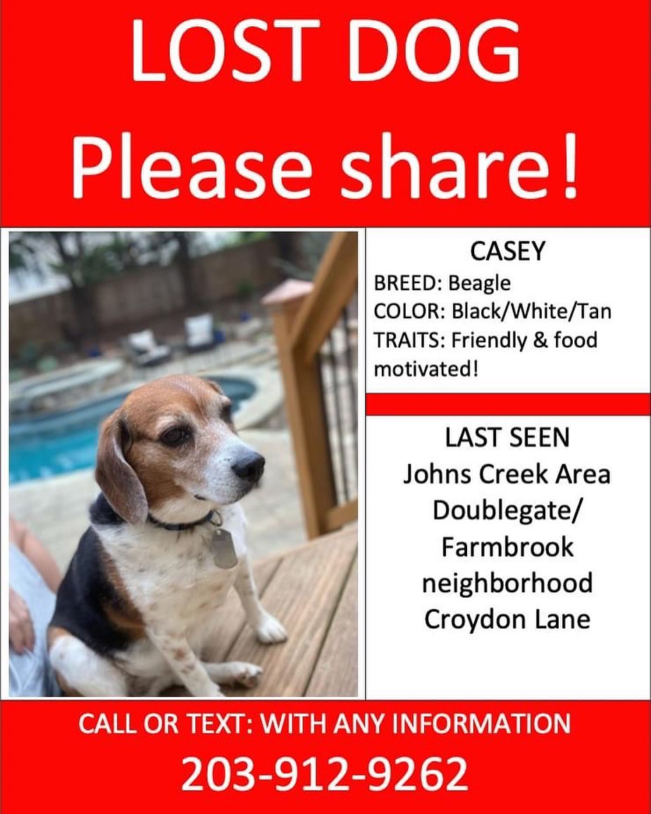 UPDATE!!!! FOUND!!!! Please help one of our fosters whose dog just bolted! This is in the John's Creek area of town! Friendly and treat motivated! 

Please share!