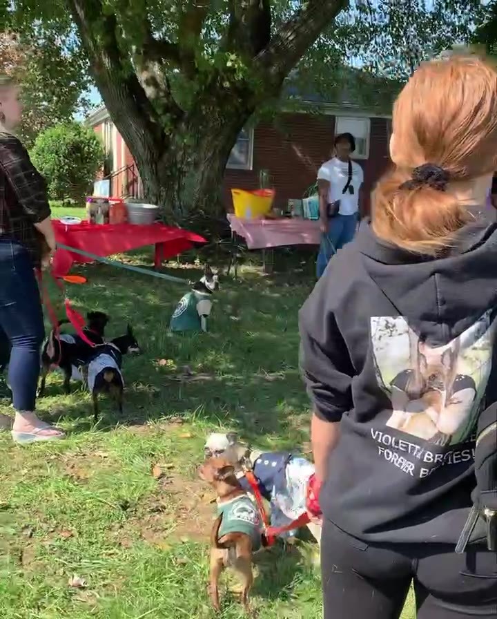 We had such a great time at Dog Days with @friendsofmillridgepark a few weeks ago doing our trick for treat classes! Look at all of these cute pups. 🐶 We will be doing some FREE mini training classes again this Sunday, Nov 7th, at 11am, 12pm, and 1pm. There will also be games, treats, and giveaways! Hope to see you there.