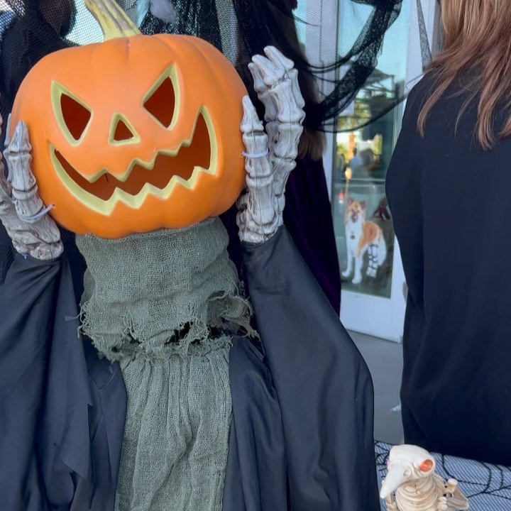 No bones about it! Our ‘skeleton crew’ had such a ghoulishly good time during Findlay Subaru of Las Vegas’s 2nd Annual Halloween Hounds trunk-or-treat and adoption event! 💀 🎃 👻⁣ 🦴 ☠️⁣
⁣⁣
Blair, Bubba, and Bugsy all found their loving forever homes yesterday! 🙌 🐾⁣⁣
⁣⁣
Thank you @subaru_lv @samandashlaw and @raisingcanes! ⁣⁣
•⁣⁣
•⁣⁣
•⁣⁣
<a target='_blank' href='https://www.instagram.com/explore/tags/findhappiness/'>#findhappiness</a> <a target='_blank' href='https://www.instagram.com/explore/tags/opttoadopt/'>#opttoadopt</a> <a target='_blank' href='https://www.instagram.com/explore/tags/halloween/'>#halloween</a> <a target='_blank' href='https://www.instagram.com/explore/tags/subarulovespets/'>#subarulovespets</a> <a target='_blank' href='https://www.instagram.com/explore/tags/trunkortreat/'>#trunkortreat</a> <a target='_blank' href='https://www.instagram.com/explore/tags/opttoadopt/'>#opttoadopt</a> <a target='_blank' href='https://www.instagram.com/explore/tags/shelterdog/'>#shelterdog</a> <a target='_blank' href='https://www.instagram.com/explore/tags/shelterdogsofinstagram/'>#shelterdogsofinstagram</a> <a target='_blank' href='https://www.instagram.com/explore/tags/adoptashelterdog/'>#adoptashelterdog</a> <a target='_blank' href='https://www.instagram.com/explore/tags/adoptdontshop/'>#adoptdontshop</a> <a target='_blank' href='https://www.instagram.com/explore/tags/lasvegas/'>#lasvegas</a> <a target='_blank' href='https://www.instagram.com/explore/tags/vegas/'>#vegas</a> <a target='_blank' href='https://www.instagram.com/explore/tags/spca/'>#spca</a> <a target='_blank' href='https://www.instagram.com/explore/tags/nevadaspca/'>#nevadaspca</a>