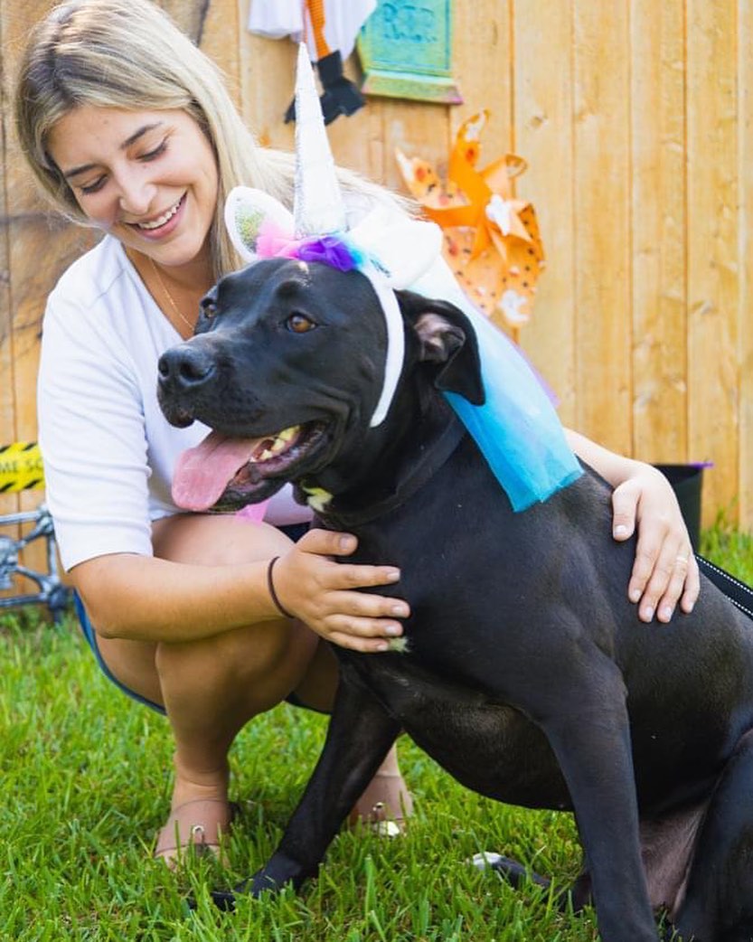 Did you see our super cute Halloween pics on Facebook?? Varona loved dressing up and hanging out with her foster mom @leslie_kalck 👻🐾

Varona is a puppy-at heart-, kung-fu knowing, gentle giant. She loves to cuddle up with you and watch TV or run around outside and play with her friends. She LOVES playing fetch or taking long naps in her bed. She has gotten along great with her foster fur-sibling which include a cat and her dogs! She does really well on a leash and love love loves kids! We do think she would do better with older kids as she does not know her size yet LOL! ❤️

Varona was adopted as a small puppy and returned underweight, unable to trust, and didn’t even know what a toy was! After a few months in her foster home she is the big girl she was meant to be as a Cane Corso mix and she knows what love and trust are. But because of her rocky start you gotta give her some time to open up. If you give her a chance you will not regret it! Head to our story for a cute video of Varona☺️

Use the link in our bio to get the adoption process started! 👍

<a target='_blank' href='https://www.instagram.com/explore/tags/adoptdontshop/'>#adoptdontshop</a> <a target='_blank' href='https://www.instagram.com/explore/tags/adoptable/'>#adoptable</a> <a target='_blank' href='https://www.instagram.com/explore/tags/makeadoptionyouronlyoption/'>#makeadoptionyouronlyoption</a> <a target='_blank' href='https://www.instagram.com/explore/tags/staffymix/'>#staffymix</a> <a target='_blank' href='https://www.instagram.com/explore/tags/blackdogsrule/'>#blackdogsrule</a> <a target='_blank' href='https://www.instagram.com/explore/tags/rescuedogsofinstagram/'>#rescuedogsofinstagram</a> <a target='_blank' href='https://www.instagram.com/explore/tags/rescuedismyfavoritebreed/'>#rescuedismyfavoritebreed</a> <a target='_blank' href='https://www.instagram.com/explore/tags/adoption/'>#adoption</a> <a target='_blank' href='https://www.instagram.com/explore/tags/fosterssavelives/'>#fosterssavelives</a> <a target='_blank' href='https://www.instagram.com/explore/tags/dogsofpensacola/'>#dogsofpensacola</a> <a target='_blank' href='https://www.instagram.com/explore/tags/canecorsomix/'>#canecorsomix</a> <a target='_blank' href='https://www.instagram.com/explore/tags/canecorso/'>#canecorso</a> <a target='_blank' href='https://www.instagram.com/explore/tags/canecorsosofig/'>#canecorsosofig</a>