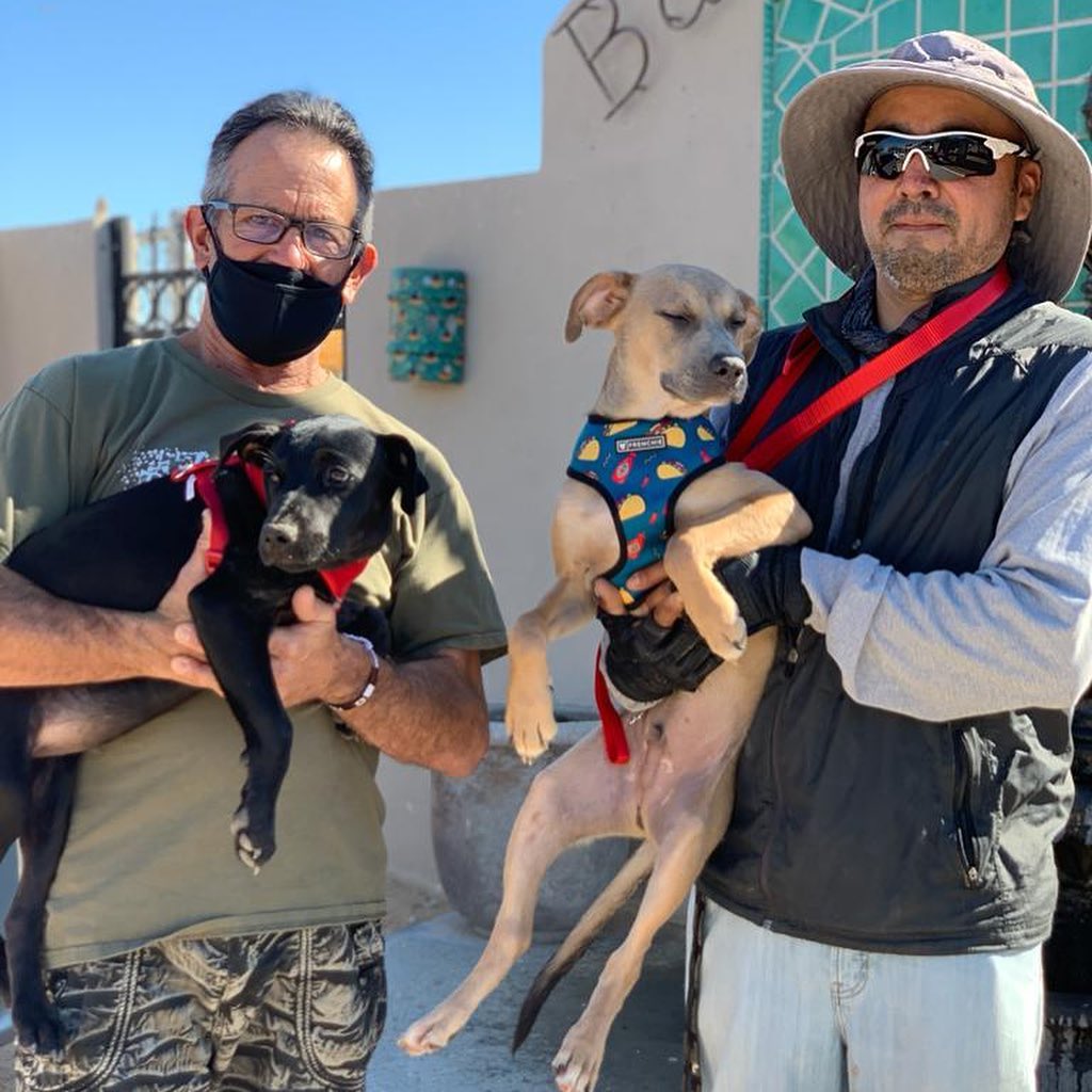 Two of our darling, curious puppies were transported to @puppyluvanimalrescue today. Thank you to our transporters and partners, you help us make miracles happen.