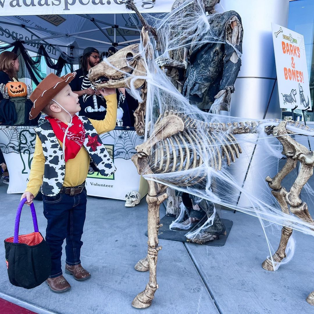 No bones about it! Our ‘skeleton crew’ had such a ghoulishly good time during Findlay Subaru of Las Vegas’s 2nd Annual Halloween Hounds trunk-or-treat and adoption event! 💀 🎃 👻⁣ 🦴 ☠️⁣
⁣⁣
Blair, Bubba, and Bugsy all found their loving forever homes yesterday! 🙌 🐾⁣⁣
⁣⁣
Thank you @subaru_lv @samandashlaw and @raisingcanes! ⁣⁣
•⁣⁣
•⁣⁣
•⁣⁣
<a target='_blank' href='https://www.instagram.com/explore/tags/findhappiness/'>#findhappiness</a> <a target='_blank' href='https://www.instagram.com/explore/tags/opttoadopt/'>#opttoadopt</a> <a target='_blank' href='https://www.instagram.com/explore/tags/halloween/'>#halloween</a> <a target='_blank' href='https://www.instagram.com/explore/tags/subarulovespets/'>#subarulovespets</a> <a target='_blank' href='https://www.instagram.com/explore/tags/trunkortreat/'>#trunkortreat</a> <a target='_blank' href='https://www.instagram.com/explore/tags/opttoadopt/'>#opttoadopt</a> <a target='_blank' href='https://www.instagram.com/explore/tags/shelterdog/'>#shelterdog</a> <a target='_blank' href='https://www.instagram.com/explore/tags/shelterdogsofinstagram/'>#shelterdogsofinstagram</a> <a target='_blank' href='https://www.instagram.com/explore/tags/adoptashelterdog/'>#adoptashelterdog</a> <a target='_blank' href='https://www.instagram.com/explore/tags/adoptdontshop/'>#adoptdontshop</a> <a target='_blank' href='https://www.instagram.com/explore/tags/lasvegas/'>#lasvegas</a> <a target='_blank' href='https://www.instagram.com/explore/tags/vegas/'>#vegas</a> <a target='_blank' href='https://www.instagram.com/explore/tags/spca/'>#spca</a> <a target='_blank' href='https://www.instagram.com/explore/tags/nevadaspca/'>#nevadaspca</a>