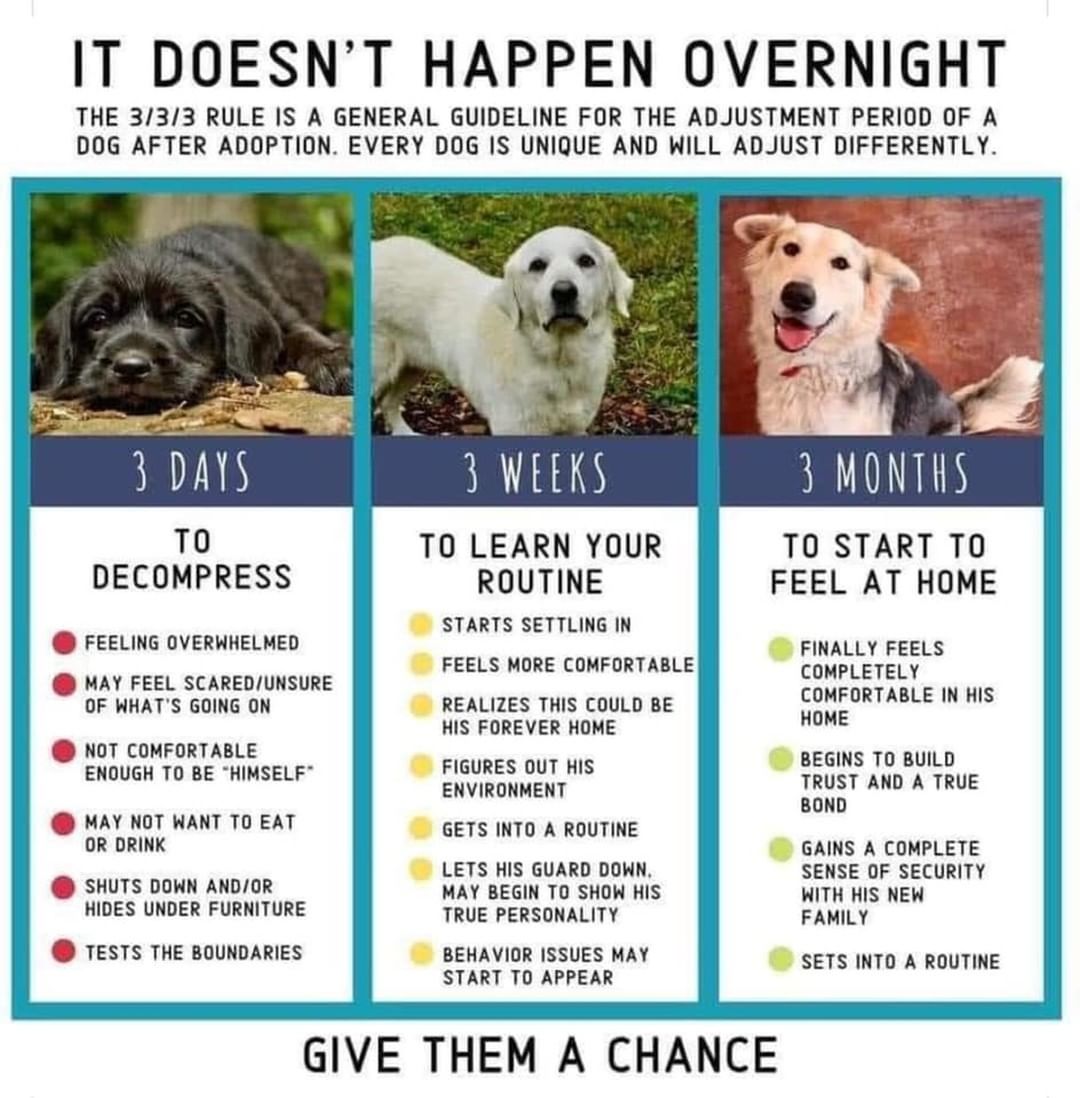 Thursday's Tip of the Day.... <a target='_blank' href='https://www.instagram.com/explore/tags/ItDoesntHappenOvernight/'>#ItDoesntHappenOvernight</a> !