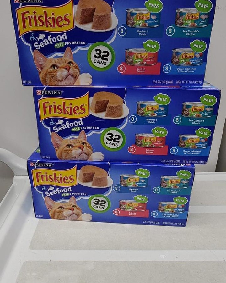 Welcome Home! 💜

Griffen found his happily ever after tonight! 

We also received some liquid gold aka wet food and cat nip toys! 🙀 Thank you!  The kitties know what both those items are! 😻🐈‍⬛