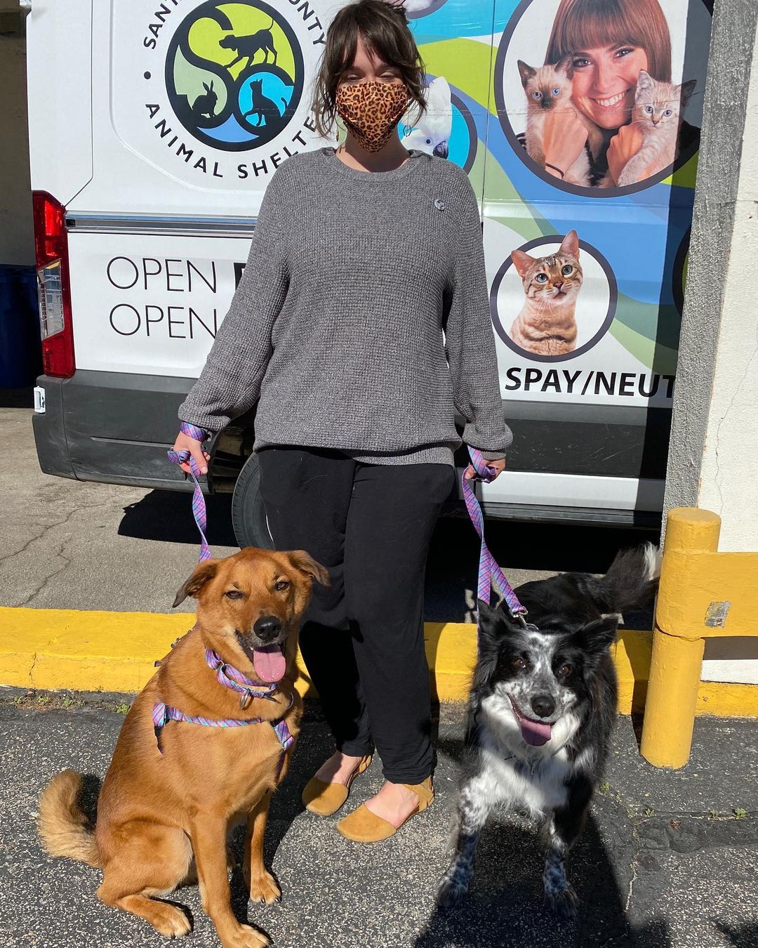 We had a nice turn out to yesterday’s Healthy Pets For All - a free wellness pop up clinic in Felton.

Thank you to Mountain Community Resources @puentes_sc 🙏 for allowing us to use their premises and to spread the word to the local <a target='_blank' href='https://www.instagram.com/explore/tags/community/'>#community</a> of our free service. Also thank you to the veterinarian, RVT and volunteers who came to help🙏

We were happy to assist the SLV residents by providing care to their pets. Check out some of the amazing humans and their just as amazing pets we served!

Stay tuned to more Healthy Pets For All dates in 2022!

For more information on services we offer go to our website (link in Bio).