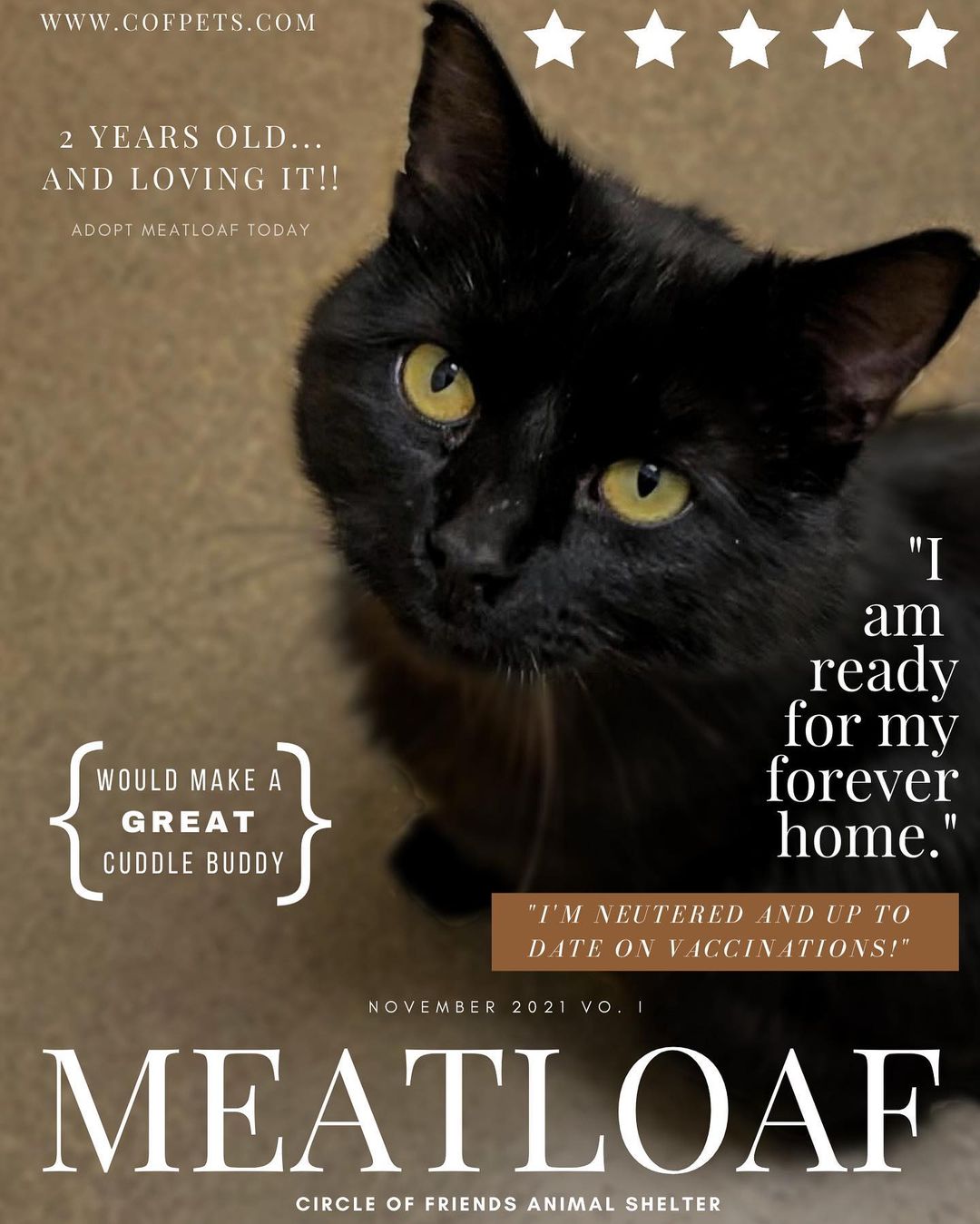 Have you read our EXCLUSIVE interview with Meatloaf?? 👀 If you haven’t, it’s a MUST READ!!! He’s still in search of his forever home. 
.
.
Meatloaf is currently in foster care and tomorrow will be his 200th day with Circle of Friends. He has been more than ready to find his forever home. If you don’t have any other cats and are looking for a best friend, he is the one for you. Not looking to adopt? Spread the word!! Word of mouth is the best way to get his name out there.

<a target='_blank' href='https://www.instagram.com/explore/tags/adopt/'>#adopt</a> <a target='_blank' href='https://www.instagram.com/explore/tags/animalshelter/'>#animalshelter</a> <a target='_blank' href='https://www.instagram.com/explore/tags/catsofinstagram/'>#catsofinstagram</a> <a target='_blank' href='https://www.instagram.com/explore/tags/cofpets/'>#cofpets</a>