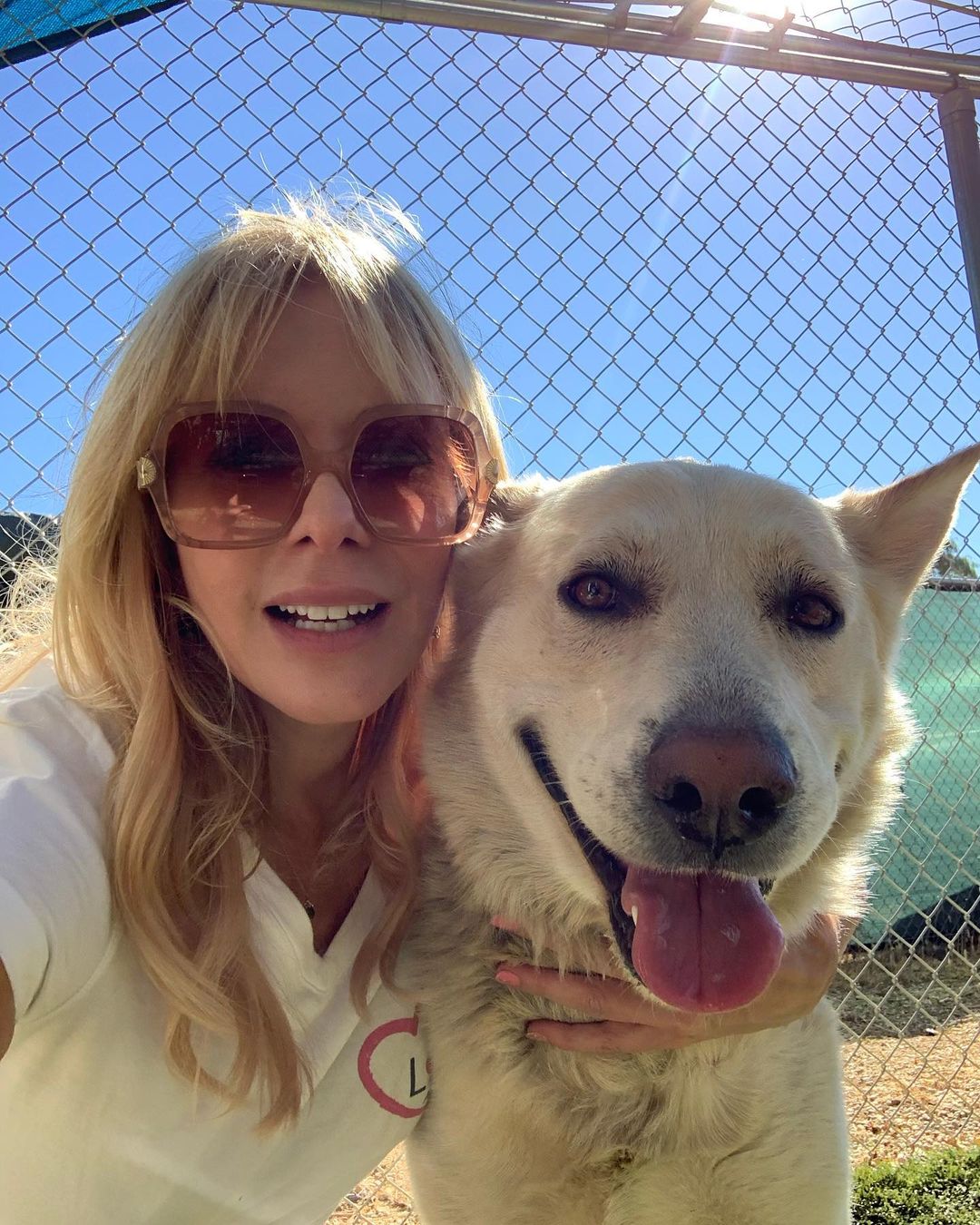 Thank you @dreamfetchers_project_rescue for assisting in rescuing these two beautiful boys 😍 

These poor dogs were dumped and have managed to survive for 6 weeks in the San Bernardino mountains with no shelter and no consistent food. 🥺 Luckily someone in the area noticed them and helped keep them alive by leaving food out. 🐾🐾🦴

This story isn’t new to the area. Unfortunately we were told that dogs and cats get abandoned here often. I’m addition to having no food or water these animals have to battle the temperatures, terrain and dangerous animals like mountain lions and rattlesnakes. 🐍🐆 If these lucky boys had been much smaller their chances of survival go down drastically. 

We were able to locate and save both dogs yesterday!! 🎉

Now they can be safe, rest and recover. We’ll be looking for forever homes for them soon but they are available for fostering ❣️😍
In the meantime, we’ll have to house them, have them trained and give them medical care. The boarding alone is $1,500 per dog per month.  Any and all help is very appreciated and goes straight to the care of these boys. Link to donate is in our bio or you can find us on Venmo @bigloveanimalrescue (last digits are 2202) 🙏🏼♥️🐶🐶🩺🏘 
  We also need your help naming them 😉  They are big, beautiful and sweet. They love kisses and of course each other.  Let us know in the comments what you think we should name these too survivors ♥️