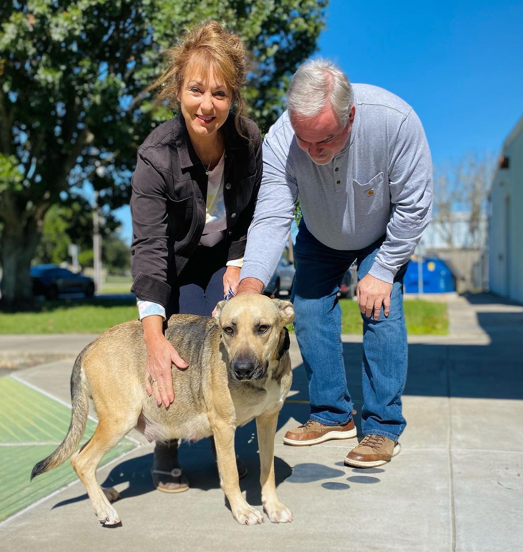 Thank you, SOCA -  FBC, for rescuing our soon-to-be mom, Gracie! 💛

⚠️ RACS is out of kennel space and needs to find more foster or forever homes for dogs! Please help by spreading the word. ⚠️

📲 Browse our adoptables:
https://bit.ly/bergshelterpets

📩 Foster: https://buff.ly/3d71HpY
📩 Adopt: https://buff.ly/38X4Bul

💛 Rosenberg Animal Shelter
1207 Blume Road⠀
Rosenberg, Texas 77471
⌚️ 11AM - 6PM M-F, 11AM - 4PM Sat
832-595-3490 (Main Line)
832-449-8624 (Text ONLY Line)
📨 MHARTSELL@ROSENBERGTX.GOV