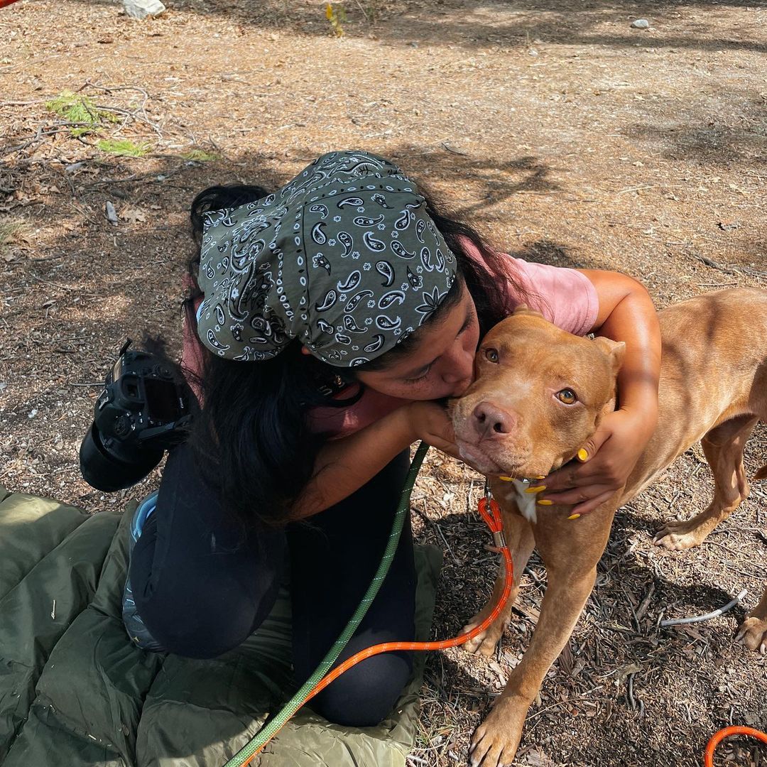 How it’s going vs. how it started.

If you’re new to Real Good Rescue, let us catch you up; it all started when we were sent a video of this beautiful boy was spotted in a driveway in Hawthorne by our friends at @rescuealldogsco in Canada.

Over 30 hours was spent surveilling him with the incredible team at @dogdayssar and @catching_paws, to finally having him safe in Mike’s trap. He then spent time with @for_pono which lead us to reaching out for to @mr.johnflores from @humblek9 who agreed to take him on for proper evaluation. We watched and worked with John and his incredible team @eleanor.andthedogs & @blues_babes, Elvis and other visitor pups that helped Obi work through his fears and distrust of humans, allowing him relax and learn to be a dog. Thank you @xoxlaurenelizabeth @turtsmtl for so generously sponsoring the majority of Obi’s rehabilitation with @humblek9. 

Thank you @rescuealldogsco @djyoc for always advocating from afar for our LA pups.  Thank you @______soyoung______ for connecting us with Veronica and the @dogdayssar team, who brought in Mike Noon.

Thank you @ambiggity for all your help and keeping Obi well fed! 

Thank you to ALL of you who supported Obi’s journey!

This boy is now home with @__gabrie.la and her family and we couldn’t be happier! Here’s to the good life sweet boy!

<a target='_blank' href='https://www.instagram.com/explore/tags/RealGoodRescue/'>#RealGoodRescue</a> <a target='_blank' href='https://www.instagram.com/explore/tags/RealGoodGang/'>#RealGoodGang</a>