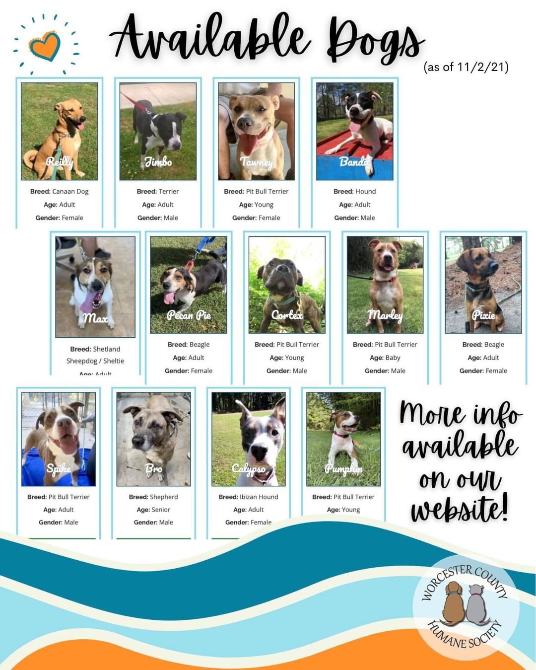 Just in case you or someone you know is looking...
We have lots of new family members waiting. ❤️

<a target='_blank' href='https://www.instagram.com/explore/tags/adoptatthebeach/'>#adoptatthebeach</a> <a target='_blank' href='https://www.instagram.com/explore/tags/dogsofoc/'>#dogsofoc</a> <a target='_blank' href='https://www.instagram.com/explore/tags/nokillshelter/'>#nokillshelter</a> <a target='_blank' href='https://www.instagram.com/explore/tags/wecouldntdoitwithoutyou/'>#wecouldntdoitwithoutyou</a>