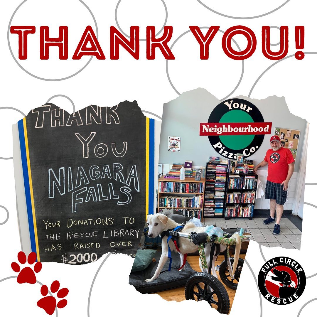 Full Circle Rescue would like to give a huge THANK YOU to @your_neighbourhood_pizza for stepping up to the plate and donating the money needed to buy Blizzard his new set of wheels🐾❤️
They used the money raised through their used bookstore, The Rescue Library!🐾📚
So if you’re ever in the mood for some amazing pizza and wings, stop by and support a local Niagara Falls business and why not browse for something new to read?🐾🍕

<a target='_blank' href='https://www.instagram.com/explore/tags/fullcirclerescue/'>#fullcirclerescue</a> <a target='_blank' href='https://www.instagram.com/explore/tags/ontariodogrescue/'>#ontariodogrescue</a> <a target='_blank' href='https://www.instagram.com/explore/tags/adoptdontshop/'>#adoptdontshop</a> <a target='_blank' href='https://www.instagram.com/explore/tags/torontodogs/'>#torontodogs</a> <a target='_blank' href='https://www.instagram.com/explore/tags/doggo/'>#doggo</a> <a target='_blank' href='https://www.instagram.com/explore/tags/dogsofinsta/'>#dogsofinsta</a> <a target='_blank' href='https://www.instagram.com/explore/tags/doglovers/'>#doglovers</a> <a target='_blank' href='https://www.instagram.com/explore/tags/dogsloversofinstagram/'>#dogsloversofinstagram</a> <a target='_blank' href='https://www.instagram.com/explore/tags/dogsofinstagram/'>#dogsofinstagram</a> <a target='_blank' href='https://www.instagram.com/explore/tags/dogrescue/'>#dogrescue</a> <a target='_blank' href='https://www.instagram.com/explore/tags/dogrescuepeople/'>#dogrescuepeople</a> <a target='_blank' href='https://www.instagram.com/explore/tags/dogrescuers/'>#dogrescuers</a> <a target='_blank' href='https://www.instagram.com/explore/tags/shoplocal/'>#shoplocal</a> <a target='_blank' href='https://www.instagram.com/explore/tags/adoptabledogsofinstagram/'>#adoptabledogsofinstagram</a> <a target='_blank' href='https://www.instagram.com/explore/tags/weareFCR/'>#weareFCR</a> <a target='_blank' href='https://www.instagram.com/explore/tags/anythingispawsible/'>#anythingispawsible</a>