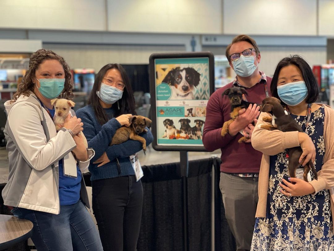 The Oz puppies & Mama Dorothy were absolutely spoiled with love and cuddles the past few days at our Pet A Puppy Booth 💕Thank you so much to @ifaiexpo for having us! A big shoutout to Twitchell Technical Products for the pet-safe flooring, @trinovahome for the pet stain remover spray, and @hcahealthcare for sending volunteers for all three days of this event! We all had a great time (especially the puppies) 🐶 <a target='_blank' href='https://www.instagram.com/explore/tags/IFAIExpo/'>#IFAIExpo</a> <a target='_blank' href='https://www.instagram.com/explore/tags/trinovajunkie/'>#trinovajunkie</a> <a target='_blank' href='https://www.instagram.com/explore/tags/trinovapets/'>#trinovapets</a>