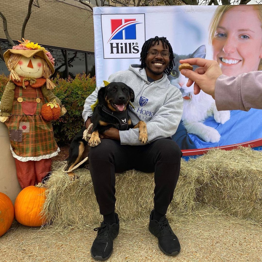 👻🎃HAPPY HALLOWEEN🎃👻

The OCHS Staff, Volunteers, Friends, and Residents want to wish everyone a safe, spooky, spectacular, and happy Halloween! 

Pictured below is one of our residents, Choctaw, who participated in the Vet School’s Halloween 5K yesterday! This run, sponsored by @hillspet , supported MSU Vet School’s Homeward Bound program! This program, much like the <a target='_blank' href='https://www.instagram.com/explore/tags/OCHSExpress/'>#OCHSExpress</a>, helps move dogs from MS to other regions of the country to help them find safe, happy, furrever homes! We’re so happy to offer our support such a wonderful program and thankful that some of our pups were able to get out of the shelter and stretch their legs for such a good cause! 

* For more on MSState VetMed Homeward Bound, see: https://www.vetmed.msstate.edu/outreach/community-engagement/service/homeward-bound
* For more on the OCHS Express, see: www.ochsms.org 

<a target='_blank' href='https://www.instagram.com/explore/tags/begooddogood/'>#begooddogood</a> <a target='_blank' href='https://www.instagram.com/explore/tags/homewardboundms/'>#homewardboundms</a> <a target='_blank' href='https://www.instagram.com/explore/tags/vetmed/'>#vetmed</a> <a target='_blank' href='https://www.instagram.com/explore/tags/vetrinarymedicine/'>#vetrinarymedicine</a> <a target='_blank' href='https://www.instagram.com/explore/tags/outreach/'>#outreach</a> <a target='_blank' href='https://www.instagram.com/explore/tags/myfavoritebreedisrescued/'>#myfavoritebreedisrescued</a> <a target='_blank' href='https://www.instagram.com/explore/tags/sheleterdogs/'>#sheleterdogs</a> <a target='_blank' href='https://www.instagram.com/explore/tags/dogsofinstagram/'>#dogsofinstagram</a> <a target='_blank' href='https://www.instagram.com/explore/tags/rescuedogs/'>#rescuedogs</a> <a target='_blank' href='https://www.instagram.com/explore/tags/adoptashelterdog/'>#adoptashelterdog</a> <a target='_blank' href='https://www.instagram.com/explore/tags/ochs/'>#ochs</a> <a target='_blank' href='https://www.instagram.com/explore/tags/adoptdontshop/'>#adoptdontshop</a> <a target='_blank' href='https://www.instagram.com/explore/tags/animalrescue/'>#animalrescue</a> <a target='_blank' href='https://www.instagram.com/explore/tags/spayandneuter/'>#spayandneuter</a> <a target='_blank' href='https://www.instagram.com/explore/tags/adoptables/'>#adoptables</a> <a target='_blank' href='https://www.instagram.com/explore/tags/humanesociety/'>#humanesociety</a> <a target='_blank' href='https://www.instagram.com/explore/tags/animalwelfare/'>#animalwelfare</a> <a target='_blank' href='https://www.instagram.com/explore/tags/whywerescue/'>#whywerescue</a> <a target='_blank' href='https://www.instagram.com/explore/tags/adoptezmoi/'>#adoptezmoi</a> <a target='_blank' href='https://www.instagram.com/explore/tags/adoptme/'>#adoptme</a> <a target='_blank' href='https://www.instagram.com/explore/tags/starkvillems/'>#starkvillems</a> <a target='_blank' href='https://www.instagram.com/explore/tags/mspets/'>#mspets</a> <a target='_blank' href='https://www.instagram.com/explore/tags/petsofinstagram/'>#petsofinstagram</a> <a target='_blank' href='https://www.instagram.com/explore/tags/rescuelove/'>#rescuelove</a>