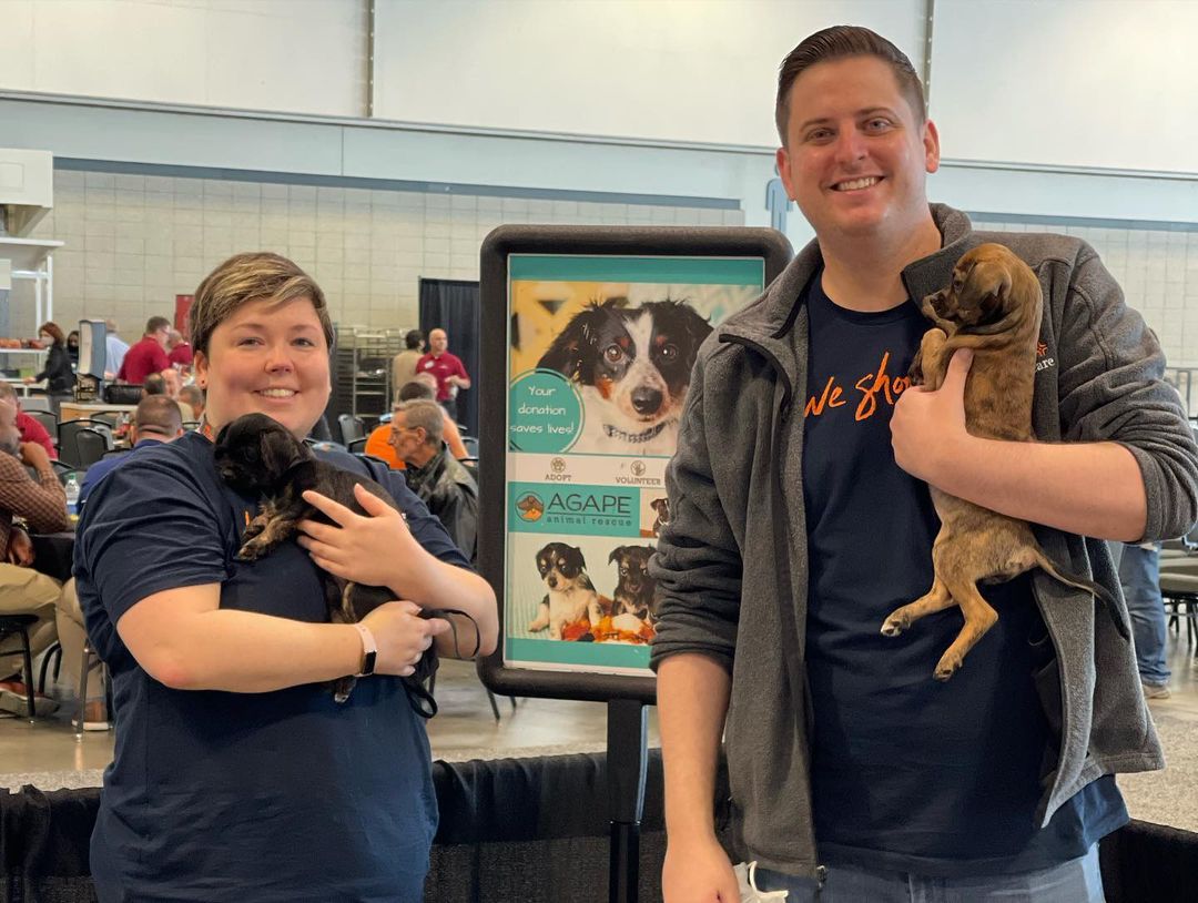 The Oz puppies & Mama Dorothy were absolutely spoiled with love and cuddles the past few days at our Pet A Puppy Booth 💕Thank you so much to @ifaiexpo for having us! A big shoutout to Twitchell Technical Products for the pet-safe flooring, @trinovahome for the pet stain remover spray, and @hcahealthcare for sending volunteers for all three days of this event! We all had a great time (especially the puppies) 🐶 <a target='_blank' href='https://www.instagram.com/explore/tags/IFAIExpo/'>#IFAIExpo</a> <a target='_blank' href='https://www.instagram.com/explore/tags/trinovajunkie/'>#trinovajunkie</a> <a target='_blank' href='https://www.instagram.com/explore/tags/trinovapets/'>#trinovapets</a>