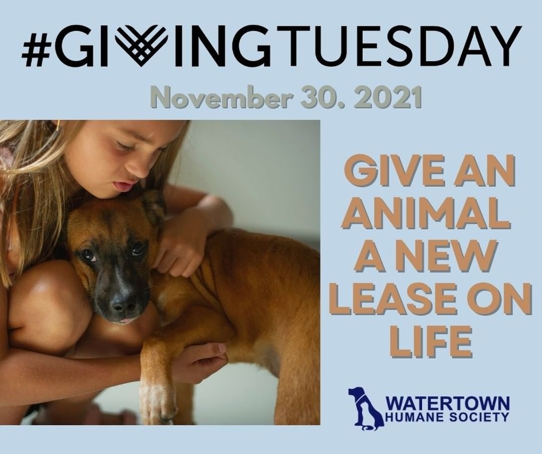 Giving Tuesday is an opportunity for our generous supporters to come together in unity for animals in need. Join us on Tuesday, November 30 for this global day of giving. This year, we hope to raise $5,000 for necessary tools we use at the shelter. Your donation will help us purchase Vybe Cat Castles for our community cat rooms, a new transport van, and equipment needed for our cremation services. Donate today: www.whsadopt.org/givingtuesday