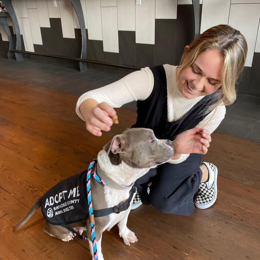 Meet adoptable Priscilla the pocket pittie🥰❤️

She is so adorable and was such a good girl on her outing this afternoon with a couple of volunteers to @woodhousebrews in Santa Cruz. She really was the belle of the ball.

Priscilla was found as a stray and is ready for her new family to come meet her. Priscilla is approximately 4 years old and is the cutest little low rider pittie we have had available for adoption in awhile. Come meet her this weekend! We are open 12-5 pm.

Adoptions are first come, first served! Please view available animals on our website at www.scanimalshelter.org (link in Bio) and then visit the Shelter at 1001 Rodriguez Street in Santa Cruz to turn in your application. All adoptions require proof of home ownership or landlord approval. Please have this email information prepared. If an animal is in Foster Care, please bring in your adoption application and schedule an appointment to meet the animal. Please call 831-454-7200 between 10 am and 6 pm. We are open from 12-5 pm seven days a week. 

Thank you for your support! The Santa Cruz County Animal Shelter is an open admission—or open door—animal shelter. This means that we will not turn away any animal that comes to our doors.

<a target='_blank' href='https://www.instagram.com/explore/tags/adopt/'>#adopt</a> <a target='_blank' href='https://www.instagram.com/explore/tags/adoptshelterpets/'>#adoptshelterpets</a> <a target='_blank' href='https://www.instagram.com/explore/tags/adoptdontshop/'>#adoptdontshop</a> <a target='_blank' href='https://www.instagram.com/explore/tags/savelives/'>#savelives</a> <a target='_blank' href='https://www.instagram.com/explore/tags/sccas/'>#sccas</a> <a target='_blank' href='https://www.instagram.com/explore/tags/scanimalshelter/'>#scanimalshelter</a> <a target='_blank' href='https://www.instagram.com/explore/tags/santacruzcountyanimalshelter/'>#santacruzcountyanimalshelter</a> <a target='_blank' href='https://www.instagram.com/explore/tags/santacruzanimalshelter/'>#santacruzanimalshelter</a> <a target='_blank' href='https://www.instagram.com/explore/tags/makeadifference/'>#makeadifference</a> <a target='_blank' href='https://www.instagram.com/explore/tags/santacruzlife/'>#santacruzlife</a> <a target='_blank' href='https://www.instagram.com/explore/tags/volunteer/'>#volunteer</a> <a target='_blank' href='https://www.instagram.com/explore/tags/bekindtoanimals/'>#bekindtoanimals</a> <a target='_blank' href='https://www.instagram.com/explore/tags/opendooropenheart/'>#opendooropenheart</a> <a target='_blank' href='https://www.instagram.com/explore/tags/spayandneuter/'>#spayandneuter</a> <a target='_blank' href='https://www.instagram.com/explore/tags/rescueismyfavoritebreed/'>#rescueismyfavoritebreed</a> <a target='_blank' href='https://www.instagram.com/explore/tags/community/'>#community</a> <a target='_blank' href='https://www.instagram.com/explore/tags/giveback/'>#giveback</a> <a target='_blank' href='https://www.instagram.com/explore/tags/givethanks/'>#givethanks</a>