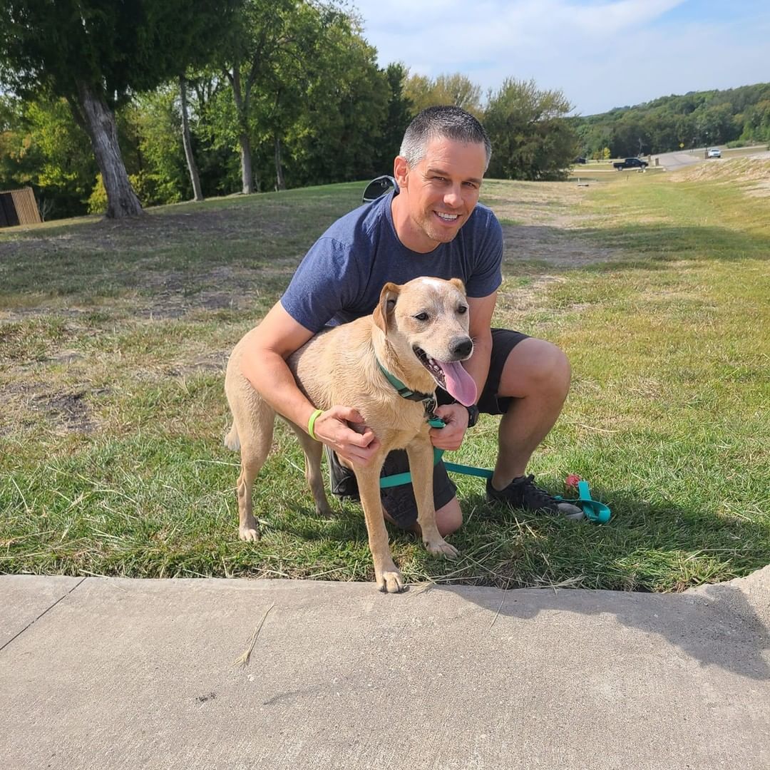 ☀️We have a picture-perfect announcement to make. Lily fka Lilibet found her forever home! If you remember Lily, along with her sister Diana, were rescued from the Greenville Animal Shelter. As you can see Lily is living the good life now, totally 