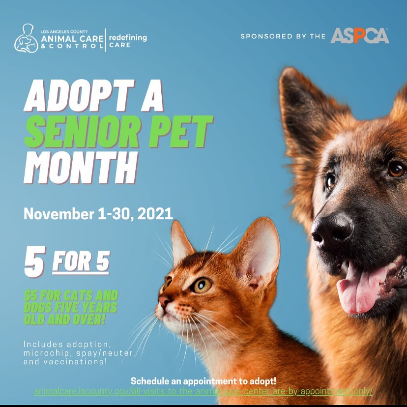 It’s adopt a senior month! Adoption fees will be reduced to $5 for cats and dogs five years of age and older throughout the month on November. License fees are not included. <a target='_blank' href='https://www.instagram.com/explore/tags/adoptdontshop/'>#adoptdontshop</a> <a target='_blank' href='https://www.instagram.com/explore/tags/adoptasenior/'>#adoptasenior</a>