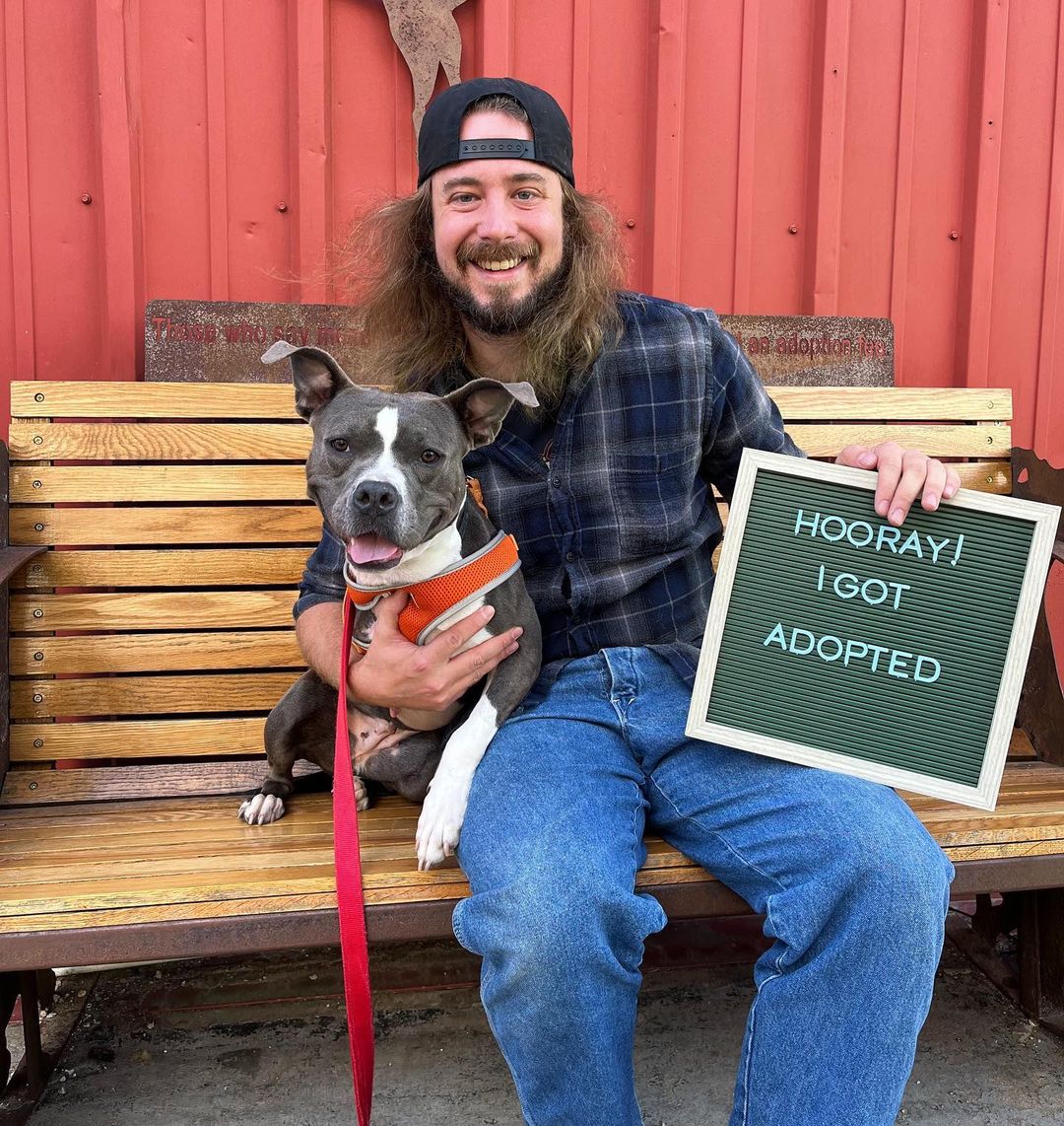 Happy smiles from ‘Remy’ and their new dad! 💕💕💕 <a target='_blank' href='https://www.instagram.com/explore/tags/happy/'>#happy</a> <a target='_blank' href='https://www.instagram.com/explore/tags/adoption/'>#adoption</a> <a target='_blank' href='https://www.instagram.com/explore/tags/adopt/'>#adopt</a> <a target='_blank' href='https://www.instagram.com/explore/tags/dogs/'>#dogs</a> <a target='_blank' href='https://www.instagram.com/explore/tags/rescuedog/'>#rescuedog</a> <a target='_blank' href='https://www.instagram.com/explore/tags/family/'>#family</a> <a target='_blank' href='https://www.instagram.com/explore/tags/love/'>#love</a> <a target='_blank' href='https://www.instagram.com/explore/tags/joy/'>#joy</a> <a target='_blank' href='https://www.instagram.com/explore/tags/rescuedismyfavoritebreed/'>#rescuedismyfavoritebreed</a> <a target='_blank' href='https://www.instagram.com/explore/tags/together/'>#together</a> <a target='_blank' href='https://www.instagram.com/explore/tags/community/'>#community</a> <a target='_blank' href='https://www.instagram.com/explore/tags/smile/'>#smile</a> <a target='_blank' href='https://www.instagram.com/explore/tags/pitbullsofinstagram/'>#pitbullsofinstagram</a> <a target='_blank' href='https://www.instagram.com/explore/tags/pitbulllove/'>#pitbulllove</a> <a target='_blank' href='https://www.instagram.com/explore/tags/brotherwolf/'>#brotherwolf</a> <a target='_blank' href='https://www.instagram.com/explore/tags/animalrescue/'>#animalrescue</a> <a target='_blank' href='https://www.instagram.com/explore/tags/instagood/'>#instagood</a> <a target='_blank' href='https://www.instagram.com/explore/tags/picoftheday/'>#picoftheday</a>