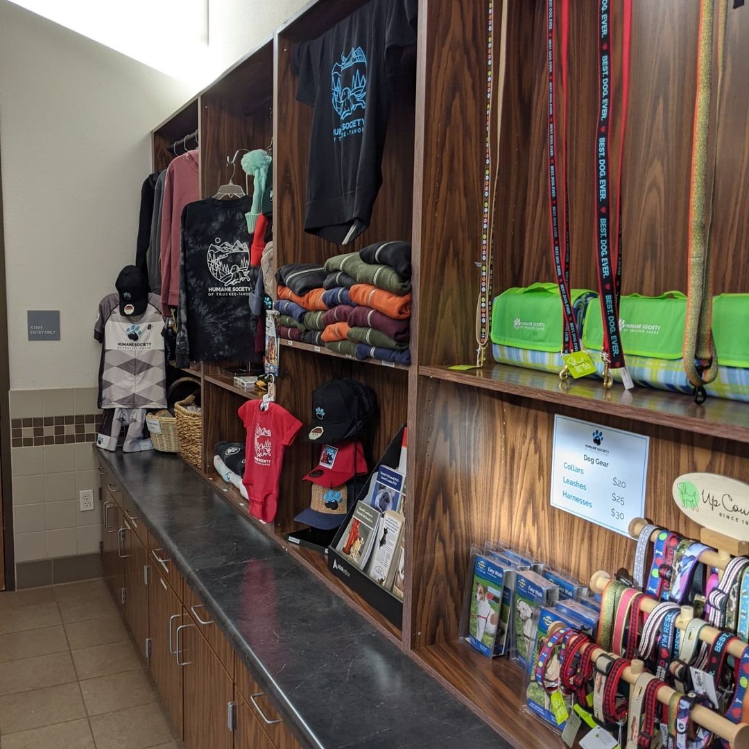 We've restocked the Truckee Shelter Merch Shelves with all of our new sweatshirts, fun gifts and pet supplies! Come in Mon-Sat 1-6pm or shop online.

Our South Lake location also has merch available and items purchased online can be delivered free for in-shelter pick-up. You can also adopt one of our adorable kittens while you are there!