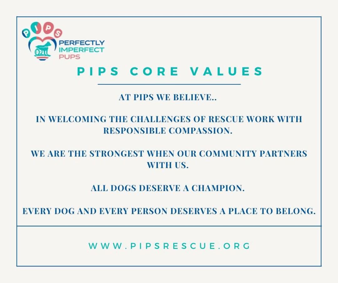 If we look at our new vision and mission as the blueprint and foundation of our rescue, our new core values would be considered the cornerstones of Perfectly Imperfect Pups.