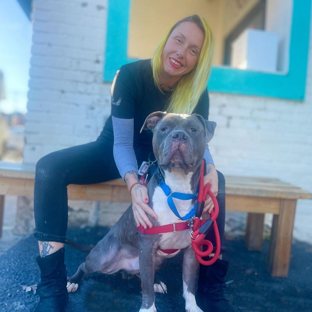 We welcomed 6 new smiling faces to our Adoption Center this past weekend! Sweet Thanos and Hager are two loving boys who were transferred to us from the Regional Center for Animal Care & Protection. RCACP was reaching capacity, and we are so thankful we had the space to take in these sweethearts. Once they get their intake exams completed, they will be ready for their forever homes.