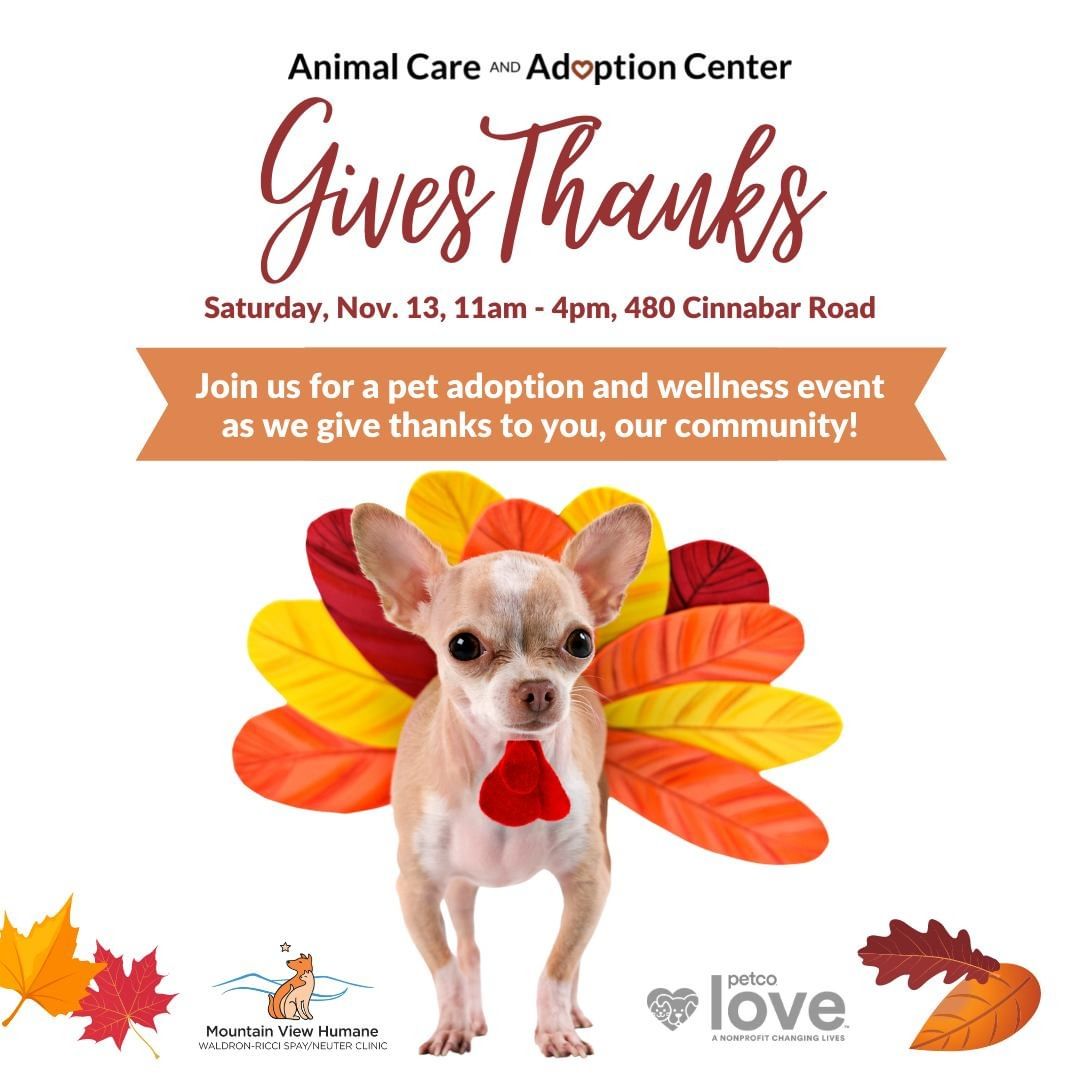 Mark your calendars for a special Pet Adoption and Wellness event as the Center Gives Thanks to YOU! Here are some of the special services we'll offer along with our pawsome friends joining us from Mountain View Humane Clinic (@mvhclinic) 

😻 $25 animal adoptions

🐶 Adoption giveaways for the first 10 adopters

🍂 Free FVRCP and DHPP vaccinations through Mountain View Humane and sponsored by Petco Love

🍁 Low-cost rabies vaccinations and microchipping also available

📆 We hope to see you at the Center on Nov. 13, from 11am-4pm.

<a target='_blank' href='https://www.instagram.com/explore/tags/MCPetAdoption/'>#MCPetAdoption</a> <a target='_blank' href='https://www.instagram.com/explore/tags/AdoptDontShop/'>#AdoptDontShop</a> <a target='_blank' href='https://www.instagram.com/explore/tags/MontgomeryCountyVa/'>#MontgomeryCountyVa</a> <a target='_blank' href='https://www.instagram.com/explore/tags/BlacksburgVa/'>#BlacksburgVa</a> <a target='_blank' href='https://www.instagram.com/explore/tags/ChristiansburgVa/'>#ChristiansburgVa</a> <a target='_blank' href='https://www.instagram.com/explore/tags/Blacksburg/'>#Blacksburg</a> <a target='_blank' href='https://www.instagram.com/explore/tags/Christiansburg/'>#Christiansburg</a> <a target='_blank' href='https://www.instagram.com/explore/tags/HokiePets/'>#HokiePets</a>