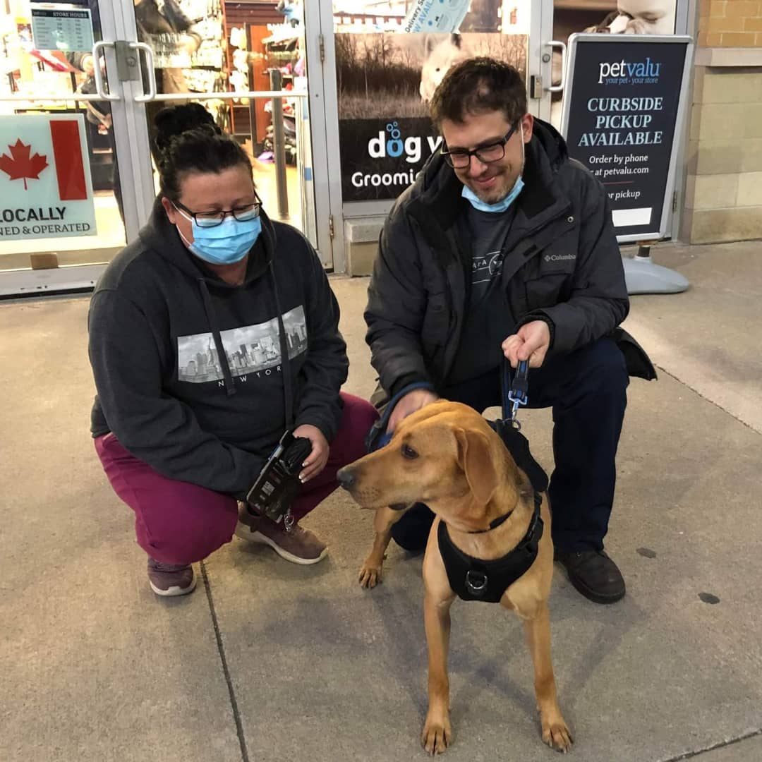 Congratulations to Buck who joined his new family today! 🐾🎉

<a target='_blank' href='https://www.instagram.com/explore/tags/Buck/'>#Buck</a> <a target='_blank' href='https://www.instagram.com/explore/tags/adopted/'>#adopted</a> <a target='_blank' href='https://www.instagram.com/explore/tags/iadopted/'>#iadopted</a> <a target='_blank' href='https://www.instagram.com/explore/tags/gotcha/'>#gotcha</a> <a target='_blank' href='https://www.instagram.com/explore/tags/gotchaday/'>#gotchaday</a> <a target='_blank' href='https://www.instagram.com/explore/tags/adoptdontshop/'>#adoptdontshop</a> <a target='_blank' href='https://www.instagram.com/explore/tags/hounddog/'>#hounddog</a> <a target='_blank' href='https://www.instagram.com/explore/tags/houndsofinstagram/'>#houndsofinstagram</a> <a target='_blank' href='https://www.instagram.com/explore/tags/rescuedog/'>#rescuedog</a> <a target='_blank' href='https://www.instagram.com/explore/tags/furever/'>#furever</a> <a target='_blank' href='https://www.instagram.com/explore/tags/home/'>#home</a> <a target='_blank' href='https://www.instagram.com/explore/tags/family/'>#family</a> <a target='_blank' href='https://www.instagram.com/explore/tags/PetsAliveNiagara/'>#PetsAliveNiagara</a>