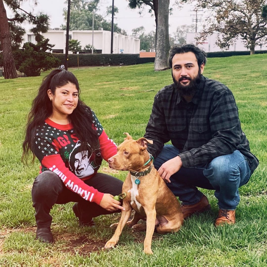 How it’s going vs. how it started.

If you’re new to Real Good Rescue, let us catch you up; it all started when we were sent a video of this beautiful boy was spotted in a driveway in Hawthorne by our friends at @rescuealldogsco in Canada.

Over 30 hours was spent surveilling him with the incredible team at @dogdayssar and @catching_paws, to finally having him safe in Mike’s trap. He then spent time with @for_pono which lead us to reaching out for to @mr.johnflores from @humblek9 who agreed to take him on for proper evaluation. We watched and worked with John and his incredible team @eleanor.andthedogs & @blues_babes, Elvis and other visitor pups that helped Obi work through his fears and distrust of humans, allowing him relax and learn to be a dog. Thank you @xoxlaurenelizabeth @turtsmtl for so generously sponsoring the majority of Obi’s rehabilitation with @humblek9. 

Thank you @rescuealldogsco @djyoc for always advocating from afar for our LA pups.  Thank you @______soyoung______ for connecting us with Veronica and the @dogdayssar team, who brought in Mike Noon.

Thank you @ambiggity for all your help and keeping Obi well fed! 

Thank you to ALL of you who supported Obi’s journey!

This boy is now home with @__gabrie.la and her family and we couldn’t be happier! Here’s to the good life sweet boy!

<a target='_blank' href='https://www.instagram.com/explore/tags/RealGoodRescue/'>#RealGoodRescue</a> <a target='_blank' href='https://www.instagram.com/explore/tags/RealGoodGang/'>#RealGoodGang</a>