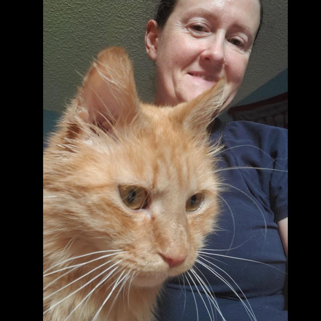 🎉🎉🐟🎉🎉🐟🎉🎉 Tuna has found his forever home with his foster mom, Jody! We are so happy for them both! Happy life to our boy Tuna who went from following workers around at a campsite to hitting the jackpot with his forever home! And special thank you to Jody for adopting, fostering and volunteering! 🧡
.
.
.
<a target='_blank' href='https://www.instagram.com/explore/tags/catsofcolumbus/'>#catsofcolumbus</a> <a target='_blank' href='https://www.instagram.com/explore/tags/adoptdontshop/'>#adoptdontshop</a> <a target='_blank' href='https://www.instagram.com/explore/tags/adopted/'>#adopted</a> <a target='_blank' href='https://www.instagram.com/explore/tags/happytails/'>#happytails</a> <a target='_blank' href='https://www.instagram.com/explore/tags/orangecat/'>#orangecat</a> <a target='_blank' href='https://www.instagram.com/explore/tags/catsofinstagram/'>#catsofinstagram</a> <a target='_blank' href='https://www.instagram.com/explore/tags/rescuedcat/'>#rescuedcat</a> <a target='_blank' href='https://www.instagram.com/explore/tags/cbus/'>#cbus</a> <a target='_blank' href='https://www.instagram.com/explore/tags/cute/'>#cute</a> <a target='_blank' href='https://www.instagram.com/explore/tags/fosterfail/'>#fosterfail</a> <a target='_blank' href='https://www.instagram.com/explore/tags/fosteringsaveslives/'>#fosteringsaveslives</a>