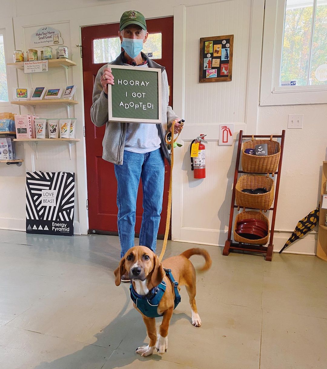 Adorable ‘Tidbit’ found a sweet dad to call his own! ❤️❤️❤️ <a target='_blank' href='https://www.instagram.com/explore/tags/adopt/'>#adopt</a> <a target='_blank' href='https://www.instagram.com/explore/tags/family/'>#family</a> <a target='_blank' href='https://www.instagram.com/explore/tags/love/'>#love</a> <a target='_blank' href='https://www.instagram.com/explore/tags/joy/'>#joy</a> <a target='_blank' href='https://www.instagram.com/explore/tags/friendship/'>#friendship</a> <a target='_blank' href='https://www.instagram.com/explore/tags/dad/'>#dad</a> <a target='_blank' href='https://www.instagram.com/explore/tags/dogdad/'>#dogdad</a> <a target='_blank' href='https://www.instagram.com/explore/tags/sweet/'>#sweet</a> <a target='_blank' href='https://www.instagram.com/explore/tags/dog/'>#dog</a> <a target='_blank' href='https://www.instagram.com/explore/tags/dogsofinstagram/'>#dogsofinstagram</a> <a target='_blank' href='https://www.instagram.com/explore/tags/happydog/'>#happydog</a> <a target='_blank' href='https://www.instagram.com/explore/tags/doggo/'>#doggo</a> <a target='_blank' href='https://www.instagram.com/explore/tags/dogoftheday/'>#dogoftheday</a> <a target='_blank' href='https://www.instagram.com/explore/tags/asheville/'>#asheville</a> <a target='_blank' href='https://www.instagram.com/explore/tags/rescuedogsofinstagram/'>#rescuedogsofinstagram</a> <a target='_blank' href='https://www.instagram.com/explore/tags/rescuedog/'>#rescuedog</a> <a target='_blank' href='https://www.instagram.com/explore/tags/brotherwolf/'>#brotherwolf</a> <a target='_blank' href='https://www.instagram.com/explore/tags/animalrescue/'>#animalrescue</a>