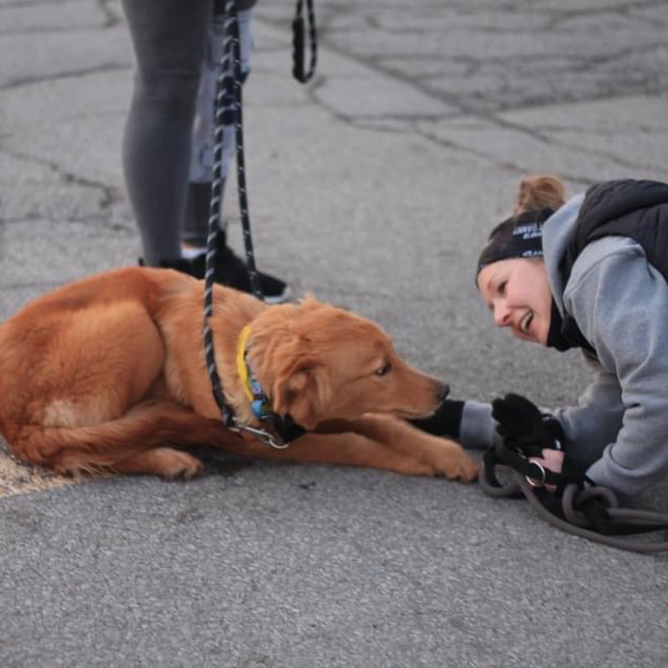 This weekend 10 dogs became Canadian!🇨🇦 We hope their new lives here in Canada are truly amazing!🐾❤️
Thank you to our community partners for helping to make this all possible!🐾

<a target='_blank' href='https://www.instagram.com/explore/tags/fullcirclerescue/'>#fullcirclerescue</a> <a target='_blank' href='https://www.instagram.com/explore/tags/ontariodogrescue/'>#ontariodogrescue</a> <a target='_blank' href='https://www.instagram.com/explore/tags/adoptdontshop/'>#adoptdontshop</a> <a target='_blank' href='https://www.instagram.com/explore/tags/torontodogs/'>#torontodogs</a> <a target='_blank' href='https://www.instagram.com/explore/tags/hamiltondogs/'>#hamiltondogs</a> <a target='_blank' href='https://www.instagram.com/explore/tags/dogsofcanada/'>#dogsofcanada</a> <a target='_blank' href='https://www.instagram.com/explore/tags/doggo/'>#doggo</a> <a target='_blank' href='https://www.instagram.com/explore/tags/dogsofinsta/'>#dogsofinsta</a> <a target='_blank' href='https://www.instagram.com/explore/tags/doglovers/'>#doglovers</a> <a target='_blank' href='https://www.instagram.com/explore/tags/dogsloversofinstagram/'>#dogsloversofinstagram</a> <a target='_blank' href='https://www.instagram.com/explore/tags/dogsofinstagram/'>#dogsofinstagram</a> <a target='_blank' href='https://www.instagram.com/explore/tags/dogsofinstaworld/'>#dogsofinstaworld</a> <a target='_blank' href='https://www.instagram.com/explore/tags/GTA/'>#GTA</a> <a target='_blank' href='https://www.instagram.com/explore/tags/GTHA/'>#GTHA</a> <a target='_blank' href='https://www.instagram.com/explore/tags/dogrescue/'>#dogrescue</a> <a target='_blank' href='https://www.instagram.com/explore/tags/dogrescuepeople/'>#dogrescuepeople</a> <a target='_blank' href='https://www.instagram.com/explore/tags/dogrescuers/'>#dogrescuers</a> <a target='_blank' href='https://www.instagram.com/explore/tags/adoptabledogsofinstagram/'>#adoptabledogsofinstagram</a> <a target='_blank' href='https://www.instagram.com/explore/tags/weareFCR/'>#weareFCR</a> <a target='_blank' href='https://www.instagram.com/explore/tags/anythingispawsible/'>#anythingispawsible</a>