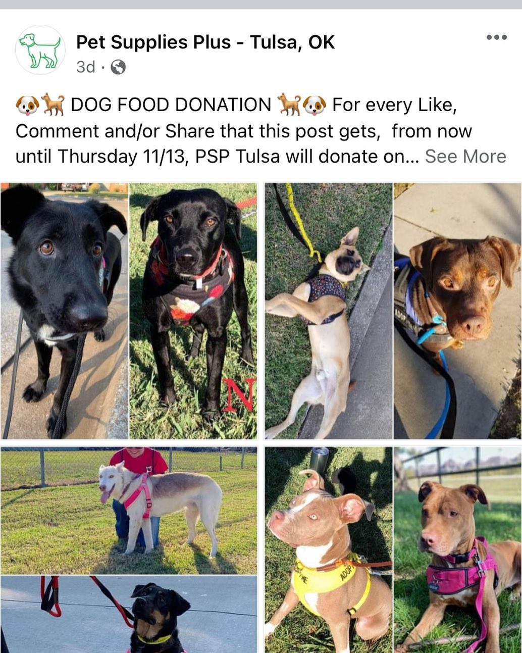 Help us get FREE pet food! 🐶🐱 Please like, comment on, AND share the ORIGINAL Facebook post on Pet Supplies Plus - Tulsa, OK page! It’s a few posts down now. 

For each like, comment, and share on the original Facebook post, Pet Supplies Plus will donate one pound of pet food to OAA. 

We are distributing nearly 400-500 lbs. of pet food a week through our Pet Food Pantry to pet owners who are experiencing short-term financial hardship or are just down on their luck. This food is desperately needed! <a target='_blank' href='https://www.instagram.com/explore/tags/tulsa/'>#tulsa</a> <a target='_blank' href='https://www.instagram.com/explore/tags/tulsaok/'>#tulsaok</a> <a target='_blank' href='https://www.instagram.com/explore/tags/tulsaoklahoma/'>#tulsaoklahoma</a> <a target='_blank' href='https://www.instagram.com/explore/tags/tulsapets/'>#tulsapets</a> <a target='_blank' href='https://www.instagram.com/explore/tags/helpingpets/'>#helpingpets</a> <a target='_blank' href='https://www.instagram.com/explore/tags/helpingpetsinneed/'>#helpingpetsinneed</a>