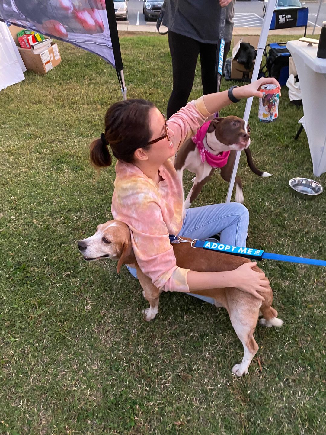 Here are a few very cute reasons to visit PIPs at local events 🐶💕✨

<a target='_blank' href='https://www.instagram.com/explore/tags/dogsofraleigh/'>#dogsofraleigh</a> <a target='_blank' href='https://www.instagram.com/explore/tags/raleighdogs/'>#raleighdogs</a> <a target='_blank' href='https://www.instagram.com/explore/tags/dogsofinstagram/'>#dogsofinstagram</a> <a target='_blank' href='https://www.instagram.com/explore/tags/adoptraleigh/'>#adoptraleigh</a> <a target='_blank' href='https://www.instagram.com/explore/tags/dogrescue/'>#dogrescue</a>