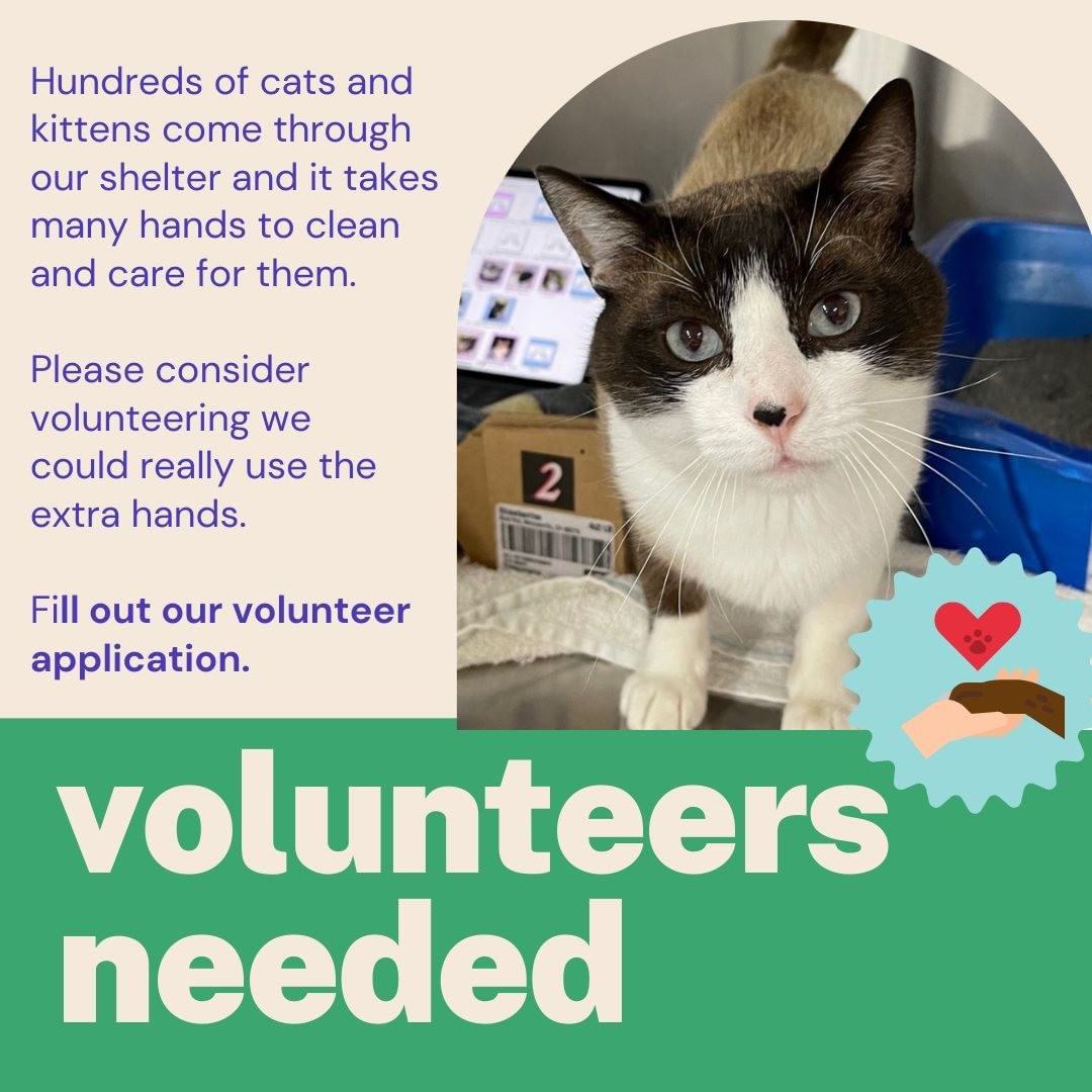 Volunteers are desparately needed to help keep out cats and kittens clean and in a healthy enviorment.  Please fill out a volunteer application today.  Email companioncats@yahoo.com to get a link to fill it out.  <a target='_blank' href='https://www.instagram.com/explore/tags/volunteerskeepkittieshealthy/'>#volunteerskeepkittieshealthy</a> <a target='_blank' href='https://www.instagram.com/explore/tags/volunteersrock/'>#volunteersrock</a> <a target='_blank' href='https://www.instagram.com/explore/tags/cantlivewithoutthem/'>#cantlivewithoutthem</a>
