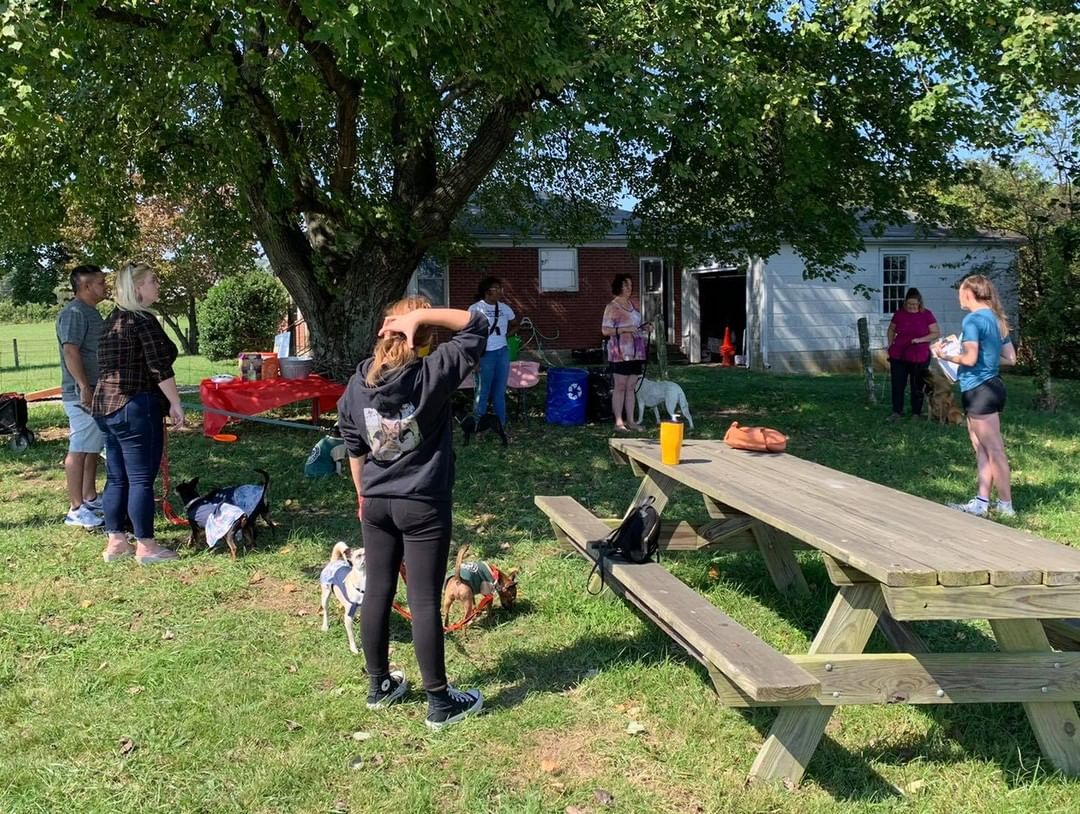 Join us tomorrow for Dog Days at Mill Ridge Park in Antioch! We will be doing FREE mini training classes at 11am, 12pm, and 1pm. There will also be games, giveaways and lots of open space to explore and socialize your pup 🐕