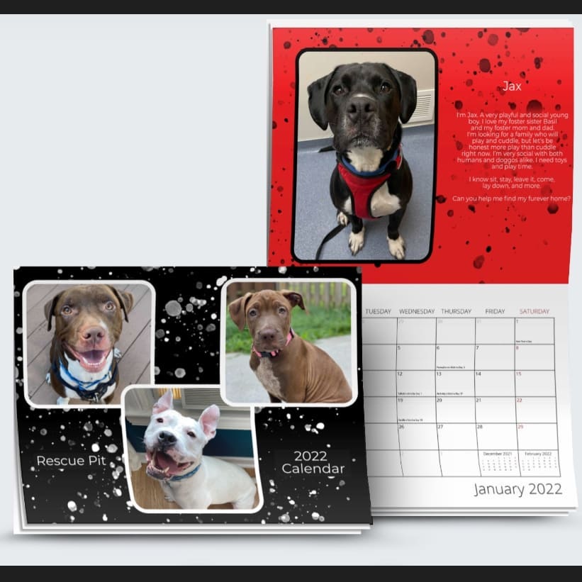 🚨🚨2022 <a target='_blank' href='https://www.instagram.com/explore/tags/RescuePit/'>#RescuePit</a> Calendars are here! Visit the site below to snag yours today! Use code FREESHIP to get free shipping!
https://rescue-pit.square.site/