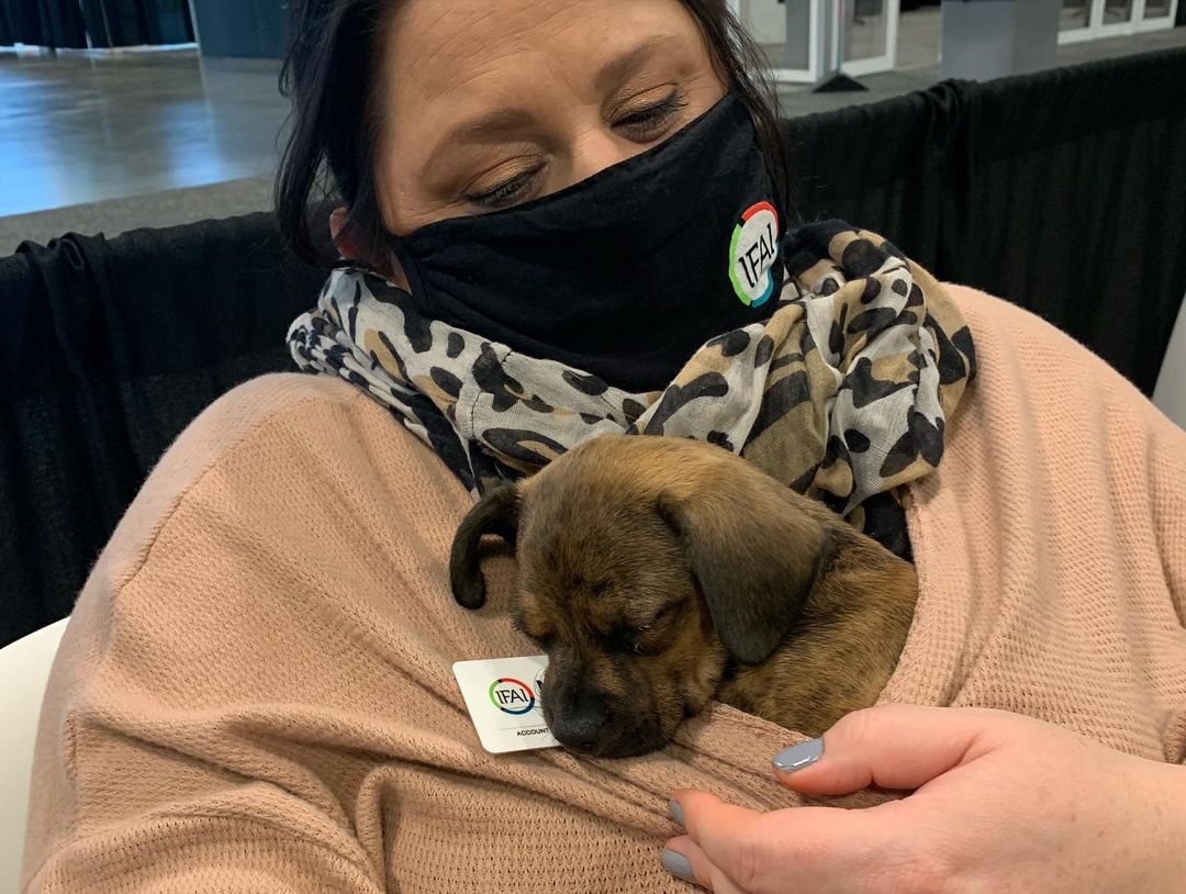 The Oz puppies & Mama Dorothy were absolutely spoiled with love and cuddles the past few days at our Pet A Puppy Booth 💕Thank you so much to @ifaiexpo for having us! A big shoutout to Twitchell Technical Products for the pet-safe flooring, @trinovahome for the pet stain remover spray, and @hcahealthcare for sending volunteers for all three days of this event! We all had a great time (especially the puppies) 🐶 <a target='_blank' href='https://www.instagram.com/explore/tags/IFAIExpo/'>#IFAIExpo</a> <a target='_blank' href='https://www.instagram.com/explore/tags/trinovajunkie/'>#trinovajunkie</a> <a target='_blank' href='https://www.instagram.com/explore/tags/trinovapets/'>#trinovapets</a>