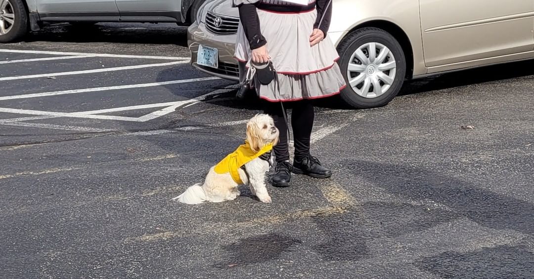 Some pics from our first annual pet parade and costume contest on Halloween. Professional ones to come!