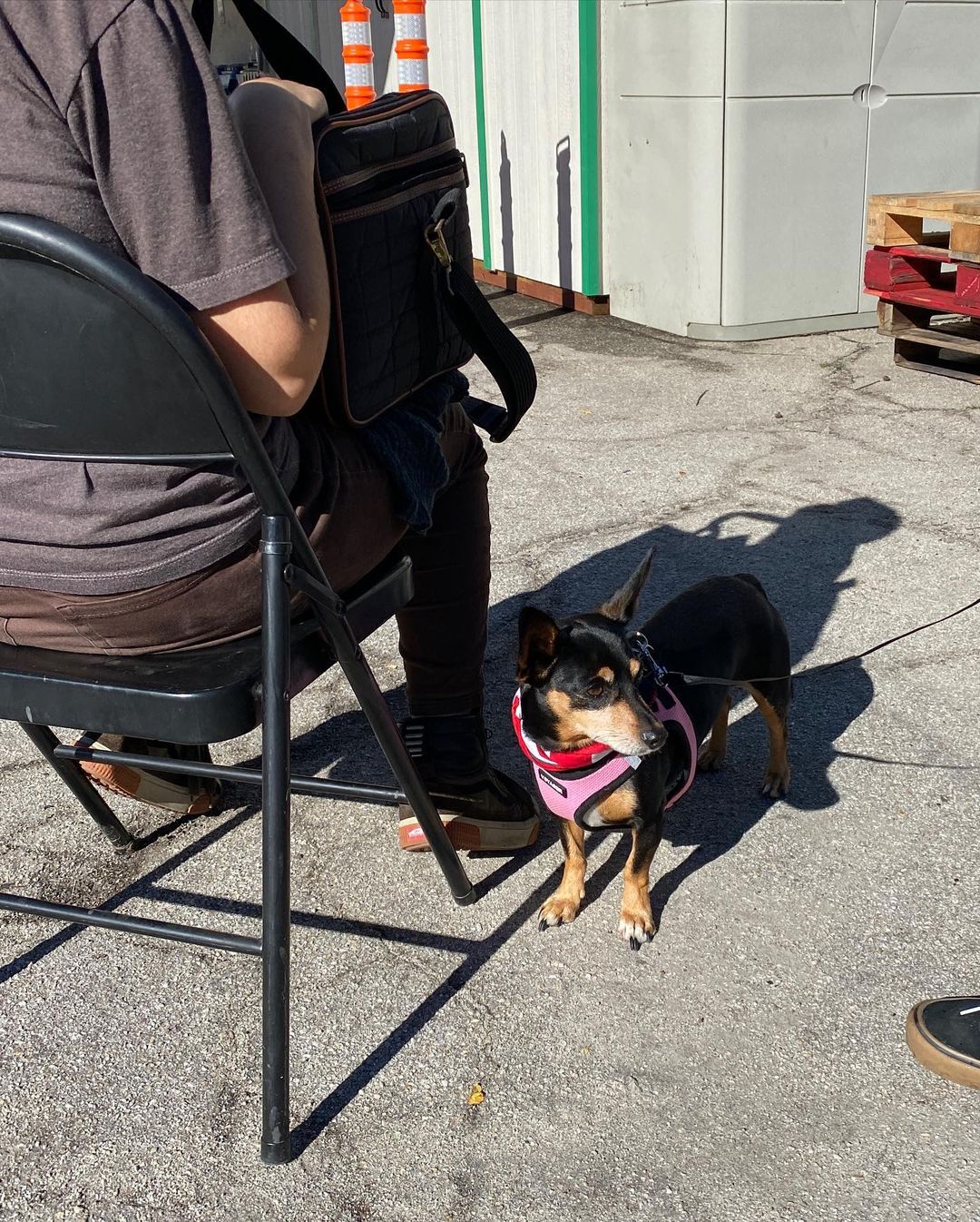 We had a nice turn out to yesterday’s Healthy Pets For All - a free wellness pop up clinic in Felton.

Thank you to Mountain Community Resources @puentes_sc 🙏 for allowing us to use their premises and to spread the word to the local <a target='_blank' href='https://www.instagram.com/explore/tags/community/'>#community</a> of our free service. Also thank you to the veterinarian, RVT and volunteers who came to help🙏

We were happy to assist the SLV residents by providing care to their pets. Check out some of the amazing humans and their just as amazing pets we served!

Stay tuned to more Healthy Pets For All dates in 2022!

For more information on services we offer go to our website (link in Bio).