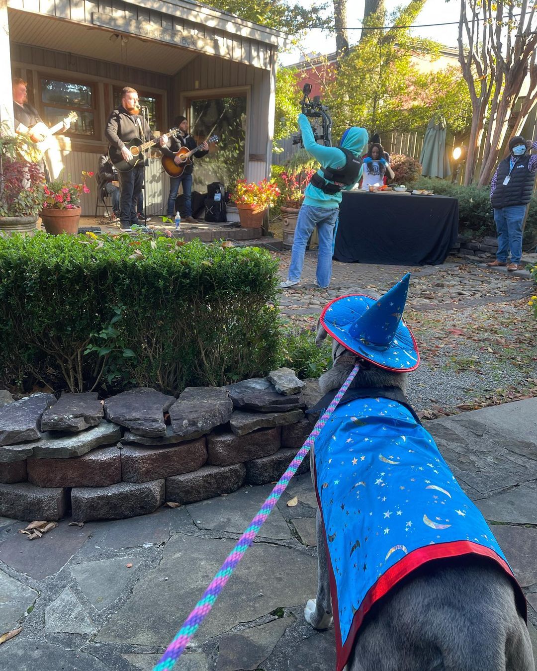 Marmaduke had a great time in @thevinethv11 this morning. He got to enjoy some music from @lukeshoemakermusic! 

For more information and to put in an application, visit warmhearts.org/adopt. 

<a target='_blank' href='https://www.instagram.com/explore/tags/Adoptdontshop/'>#Adoptdontshop</a> <a target='_blank' href='https://www.instagram.com/explore/tags/littlerock/'>#littlerock</a> <a target='_blank' href='https://www.instagram.com/explore/tags/littlerockar/'>#littlerockar</a> <a target='_blank' href='https://www.instagram.com/explore/tags/littlerockarkansas/'>#littlerockarkansas</a> <a target='_blank' href='https://www.instagram.com/explore/tags/arkansas/'>#arkansas</a> <a target='_blank' href='https://www.instagram.com/explore/tags/hspc/'>#hspc</a>