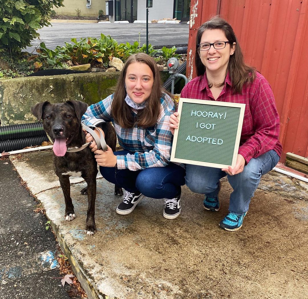 Congratulations to ‘Prince!’ and his new family! 💕🏡🦴 <a target='_blank' href='https://www.instagram.com/explore/tags/prince/'>#prince</a> <a target='_blank' href='https://www.instagram.com/explore/tags/adopted/'>#adopted</a> <a target='_blank' href='https://www.instagram.com/explore/tags/adopt/'>#adopt</a> <a target='_blank' href='https://www.instagram.com/explore/tags/family/'>#family</a> <a target='_blank' href='https://www.instagram.com/explore/tags/joy/'>#joy</a> <a target='_blank' href='https://www.instagram.com/explore/tags/love/'>#love</a> <a target='_blank' href='https://www.instagram.com/explore/tags/together/'>#together</a> <a target='_blank' href='https://www.instagram.com/explore/tags/togetherforever/'>#togetherforever</a> <a target='_blank' href='https://www.instagram.com/explore/tags/love/'>#love</a> <a target='_blank' href='https://www.instagram.com/explore/tags/brotherwolf/'>#brotherwolf</a> <a target='_blank' href='https://www.instagram.com/explore/tags/animalrescue/'>#animalrescue</a> <a target='_blank' href='https://www.instagram.com/explore/tags/asheville/'>#asheville</a> <a target='_blank' href='https://www.instagram.com/explore/tags/instagood/'>#instagood</a> <a target='_blank' href='https://www.instagram.com/explore/tags/picoftheday/'>#picoftheday</a> <a target='_blank' href='https://www.instagram.com/explore/tags/dog/'>#dog</a> <a target='_blank' href='https://www.instagram.com/explore/tags/dogsofinstagram/'>#dogsofinstagram</a> <a target='_blank' href='https://www.instagram.com/explore/tags/doggo/'>#doggo</a> <a target='_blank' href='https://www.instagram.com/explore/tags/happy/'>#happy</a> <a target='_blank' href='https://www.instagram.com/explore/tags/companion/'>#companion</a> <a target='_blank' href='https://www.instagram.com/explore/tags/company/'>#company</a>