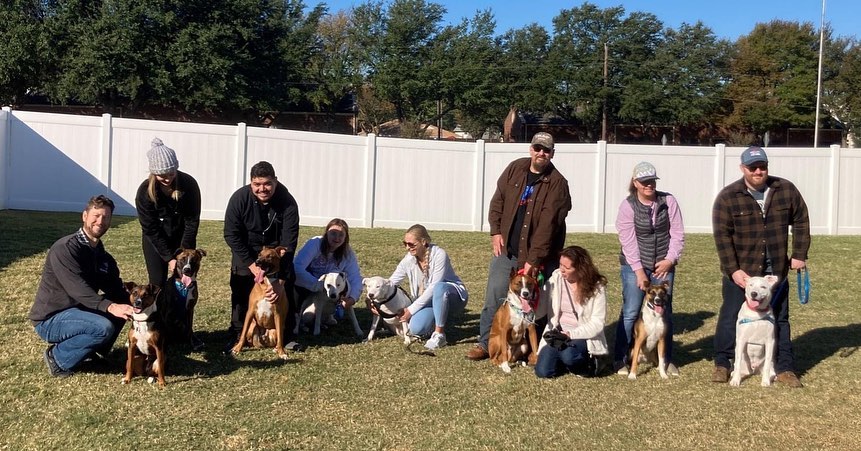 Such a fun day at Velvet Snout as we celebrated the 1st birthday of our Halloween puppies AND finalized the adoption of the last member of the litter!

All 8 puppies were able to attend.  Although 7 were adopted in the spring, Mavis had some medical issues to get past before we could finalize her adoption.  She was finally ready last week and it seemed appropriate to make things official with all her siblings in attendance. :) Now known as Misha, she's been with her adoptive family for many months as they patiently waited for her to be ready.  She's clearly a happy and well-loved girl, and despite being decidedly the smallest of the litter, she was running, playing, chasing, tugging and fetching right along with the rest of them. 

Somewhat amazingly, we were able to get the entire litter sitting and (mostly) facing the same direction at the same time.  From left to right in the group shot are Mavis (now Misha), Jack, Twix, Marshmallow, Drac, Merlin, Raven and Boo (now Bo). At least, I think that's right; someone correct me if I mixed anyone up. 

Thank you to Justine and the team at The Velvet Snout Canine Adventure Center for letting us use their play yard today, to Cindy for organizing everything, and to the adoptive and foster families who came out to enjoy the sunshine, cooler temps and general mayhem!