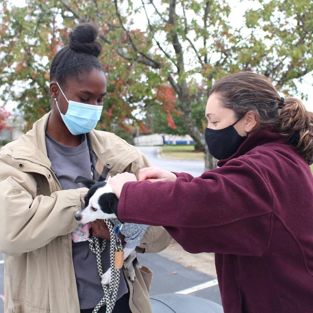 Thank you to everyone who came out and braved the cold this morning for our $5 Microchip Clinic! All of our hearts are warmed knowing that nearly 150 pets now have permanent, reliable paths back home in the event they were ever to get lost or find themselves at a shelter.

And to you reading — please know that your support made this clinic possible for all of these families! Thanks to you, our Community Initiatives team is empowered to reach out to our community directly to assess and meet the needs of pets and pet owners in the Triangle and around NC, finding any ways we can to help pets and people and keeping families together. We are so grateful for you ❤

<a target='_blank' href='https://www.instagram.com/explore/tags/spcawake/'>#spcawake</a> <a target='_blank' href='https://www.instagram.com/explore/tags/raleigh/'>#raleigh</a> <a target='_blank' href='https://www.instagram.com/explore/tags/wakecounty/'>#wakecounty</a> <a target='_blank' href='https://www.instagram.com/explore/tags/lowcostvetcare/'>#lowcostvetcare</a> <a target='_blank' href='https://www.instagram.com/explore/tags/northcarolina/'>#northcarolina</a> <a target='_blank' href='https://www.instagram.com/explore/tags/spca/'>#spca</a> <a target='_blank' href='https://www.instagram.com/explore/tags/raleighnonprofit/'>#raleighnonprofit</a> <a target='_blank' href='https://www.instagram.com/explore/tags/animalwelfare/'>#animalwelfare</a> <a target='_blank' href='https://www.instagram.com/explore/tags/microchip/'>#microchip</a> <a target='_blank' href='https://www.instagram.com/explore/tags/homeagain/'>#homeagain</a> <a target='_blank' href='https://www.instagram.com/explore/tags/veterinarymedicine/'>#veterinarymedicine</a> @wral