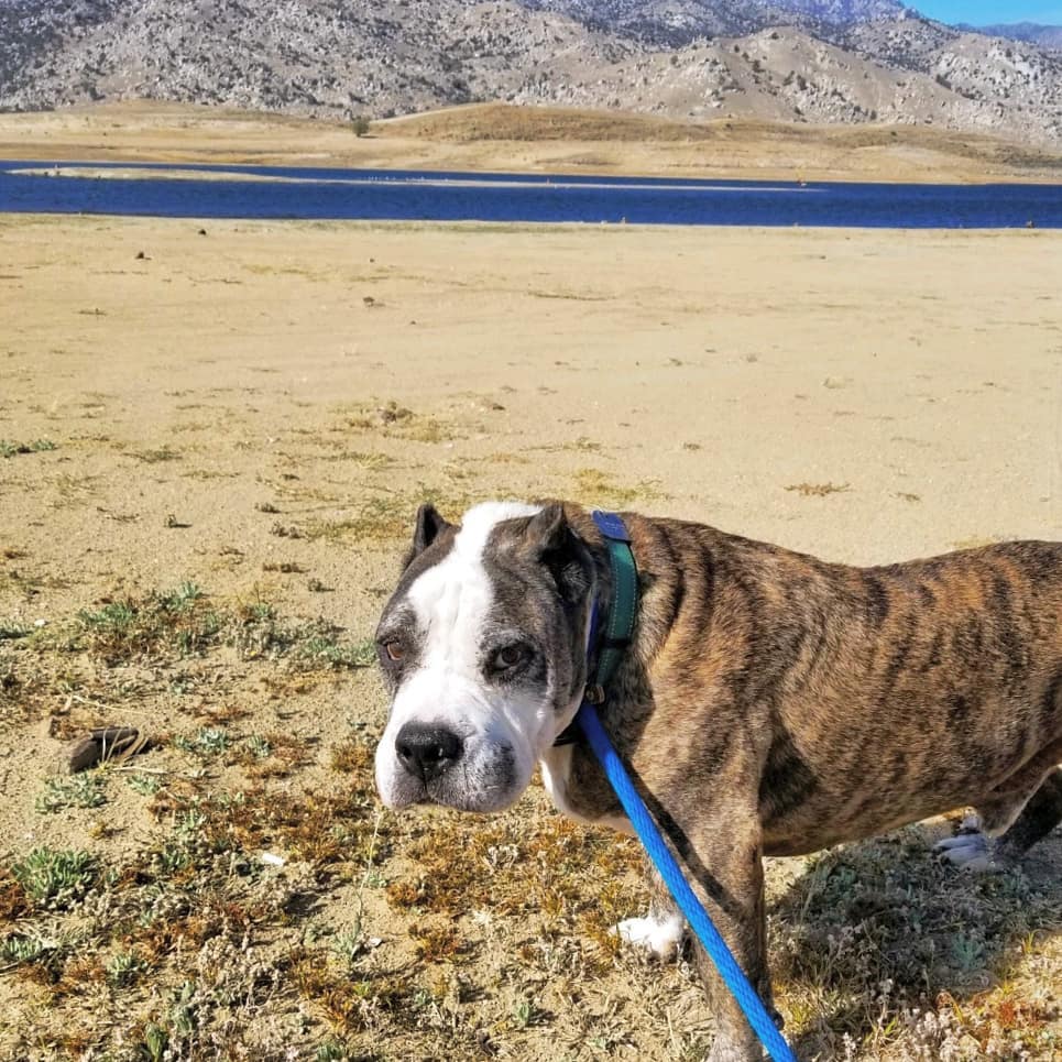 Old Man Norman went on a field trip to the lake today and had so much fun!