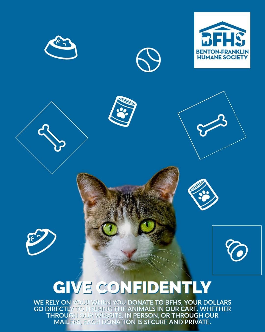 BFHS strives to maintain donor confidence through annual audits, secure donation platforms, & transparency.  We are proud to meet the BBB’s Twenty Standards of Charitable Accountability, maintain Guidestar's Gold Seal of Transparency, and publish our policies & bylaws on our website.  When you give to BFHS, do so confidently & know the animals are at the heart of everything we do.