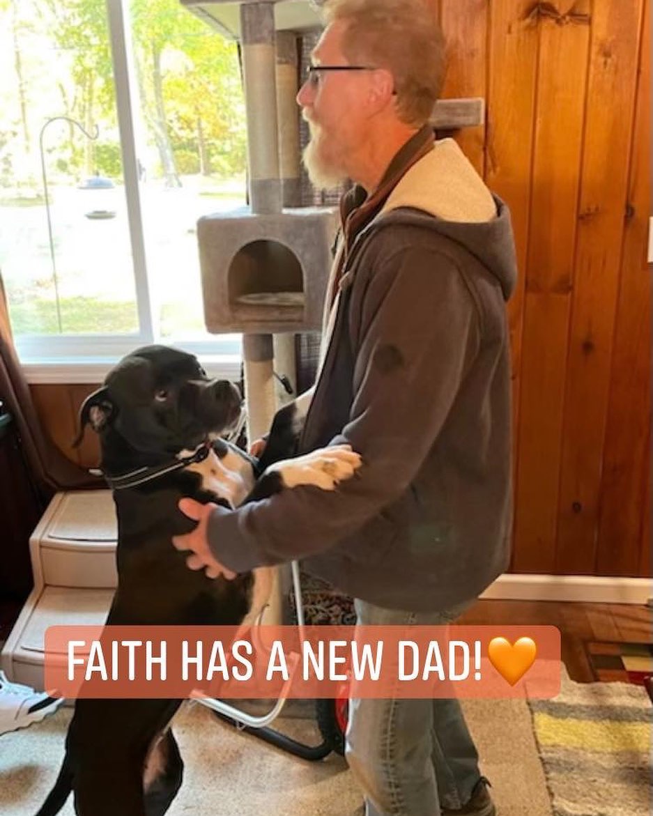 Breaking News! Faith is Adopted!!
🥳👍🏽🐾
<a target='_blank' href='https://www.instagram.com/explore/tags/adopted/'>#adopted</a> <a target='_blank' href='https://www.instagram.com/explore/tags/amsterdog/'>#amsterdog</a> <a target='_blank' href='https://www.instagram.com/explore/tags/amsterdogrescue/'>#amsterdogrescue</a> <a target='_blank' href='https://www.instagram.com/explore/tags/faith/'>#faith</a>