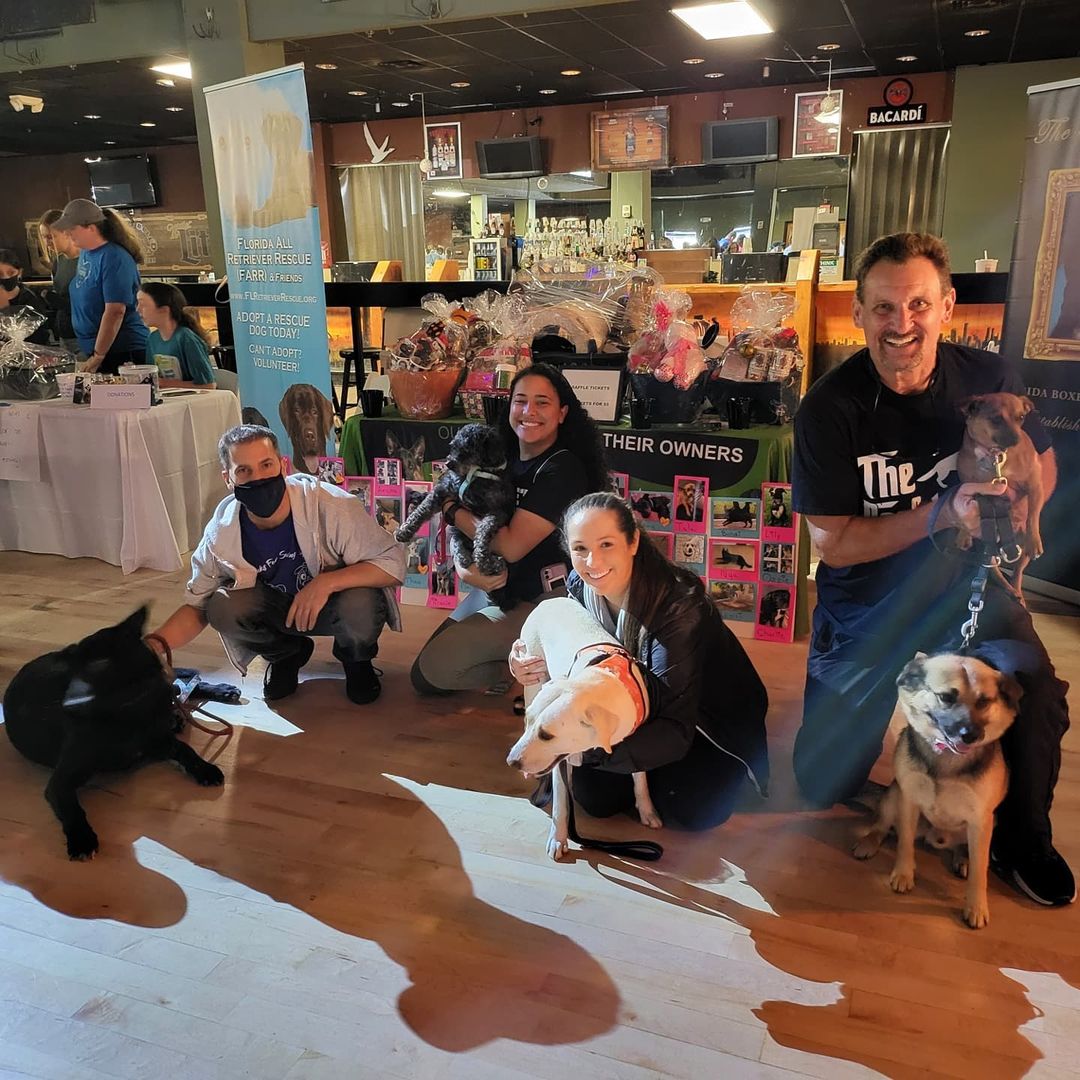 Thank you again to all the Fosters & foster parents that came out for this great adoption event. It's really great getting back to the norm where we have normal adoption events...it helps the dogs get adopted easier for people to see them in person. Thank you too @3cs_catering @thenewbarkerdogmagazine @thedallasbull for sponsoring this amaxing event