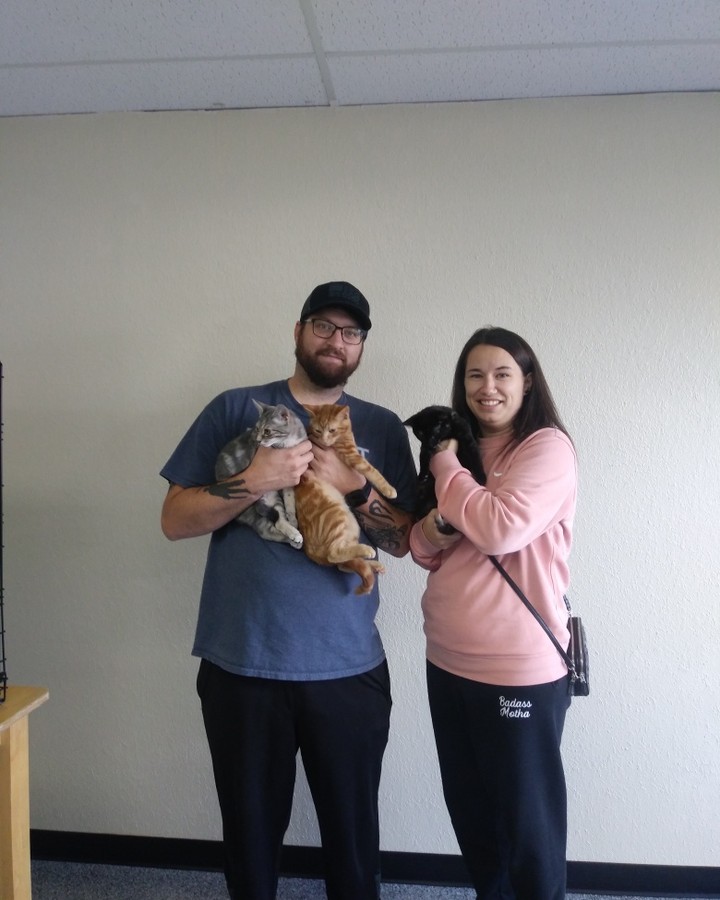 Three's the charm!! Burton, Bram & Elvira scored an awesome home together! 🥰